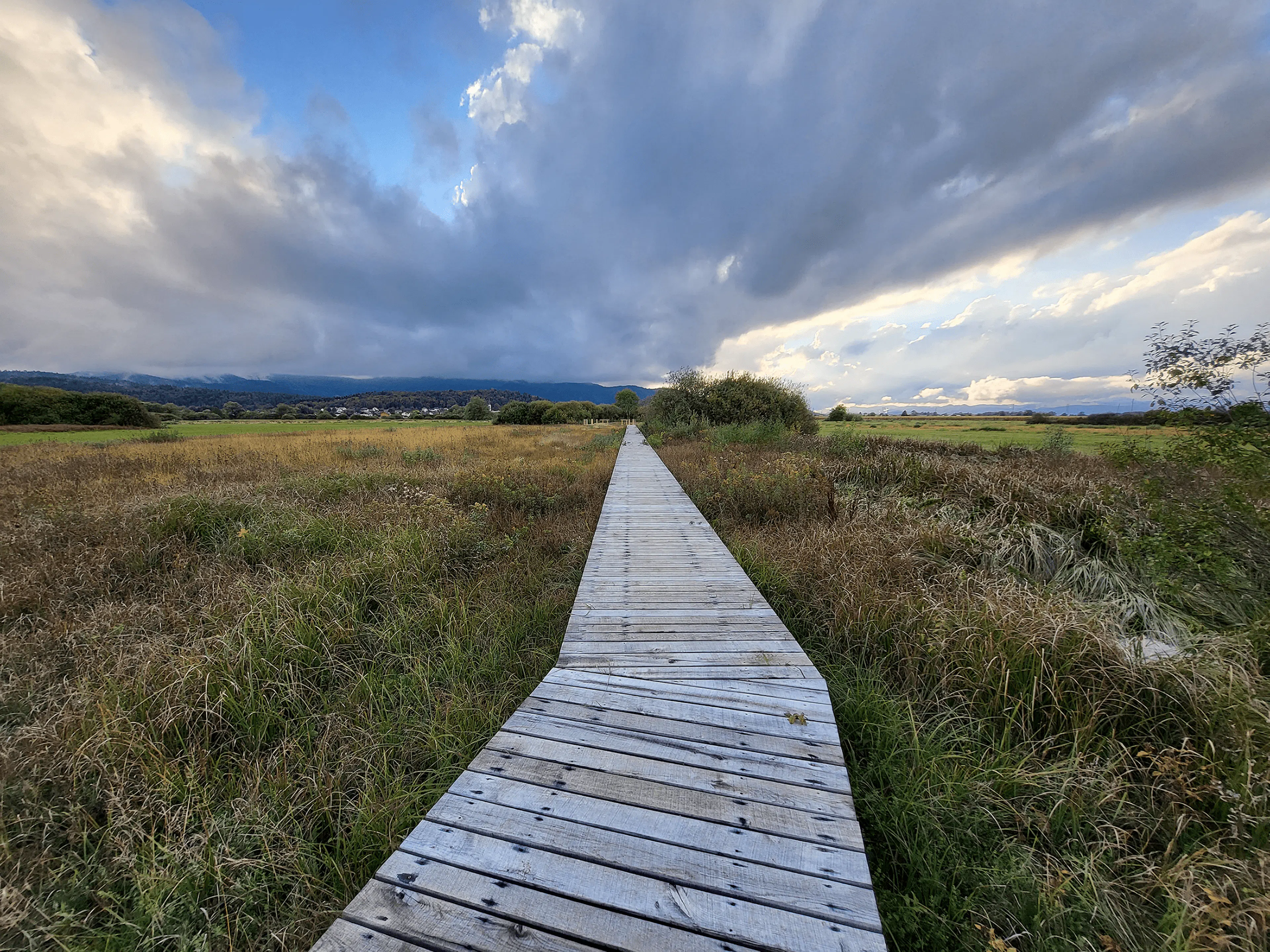 Interpretation Center of Biodiversity and Pile Dwellings in the Ljubljana Marsh Nature Park — 14