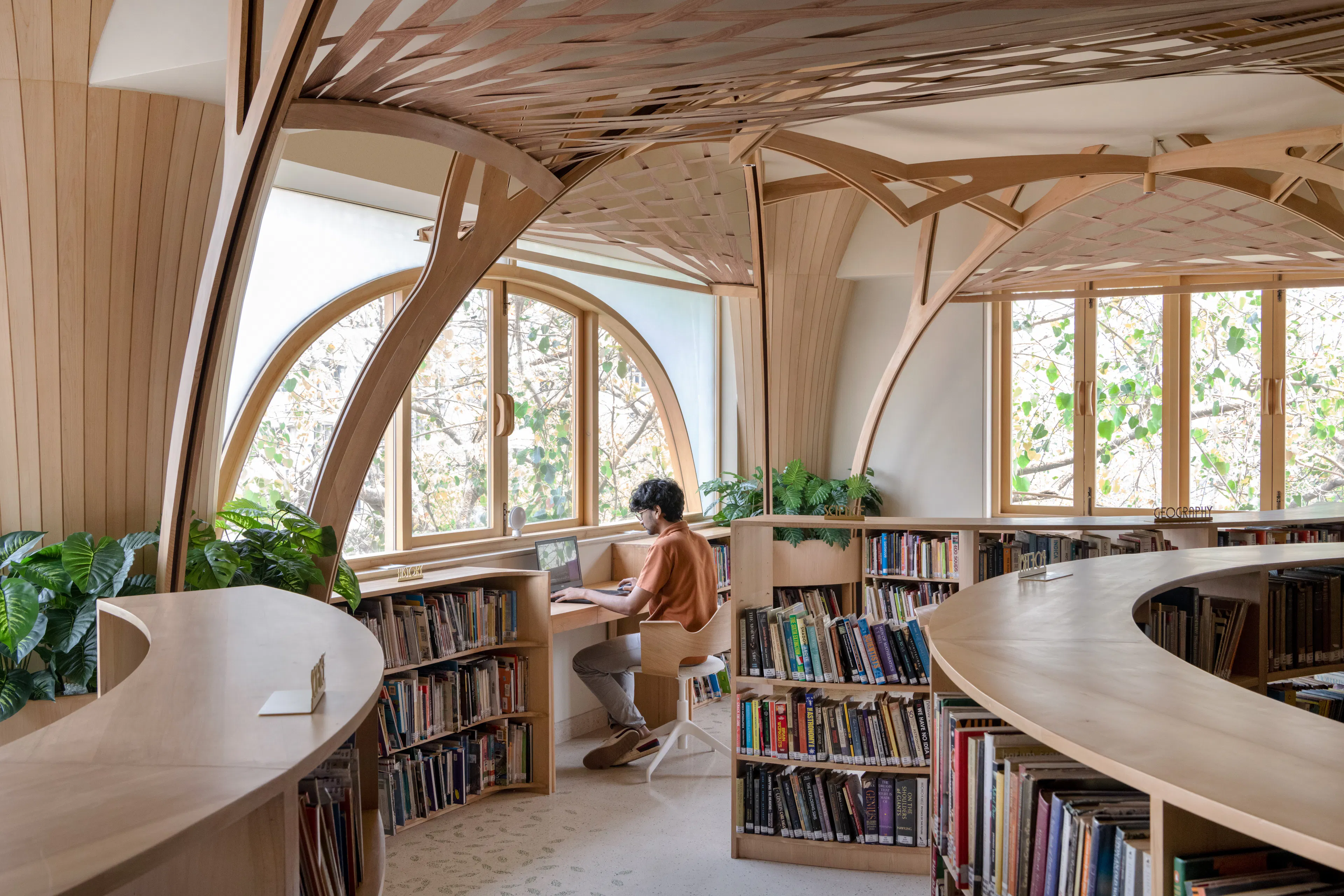 The Forest of Knowledge — 5