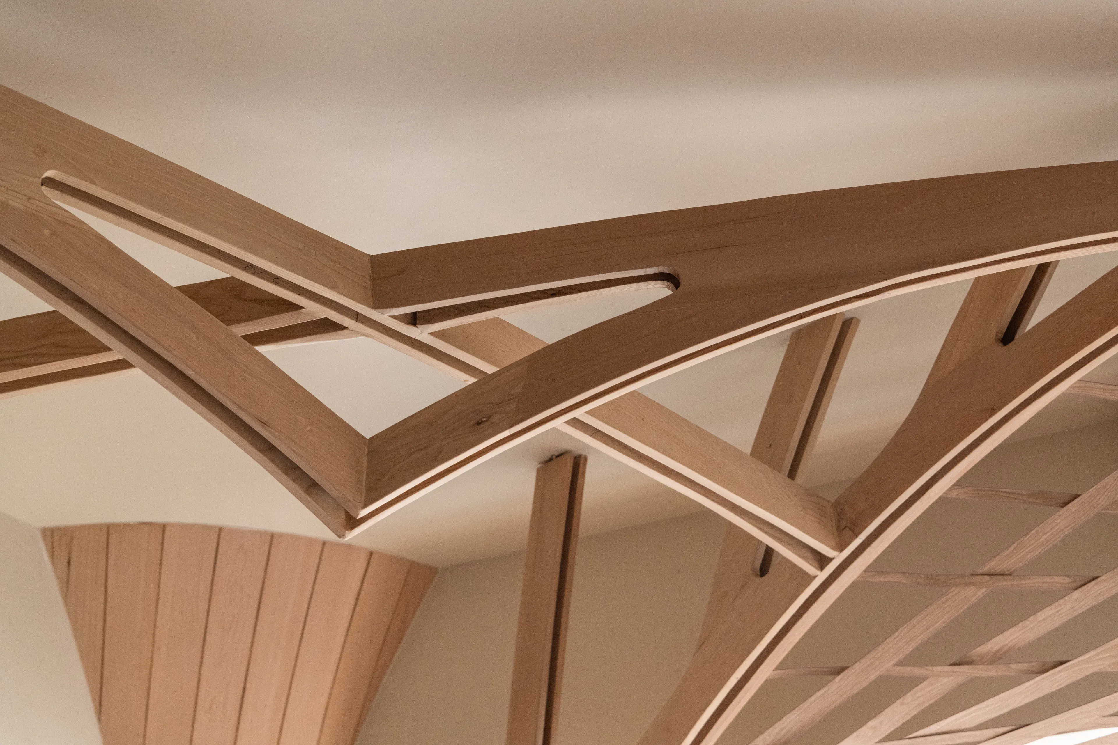 The Forest of Knowledge — 10