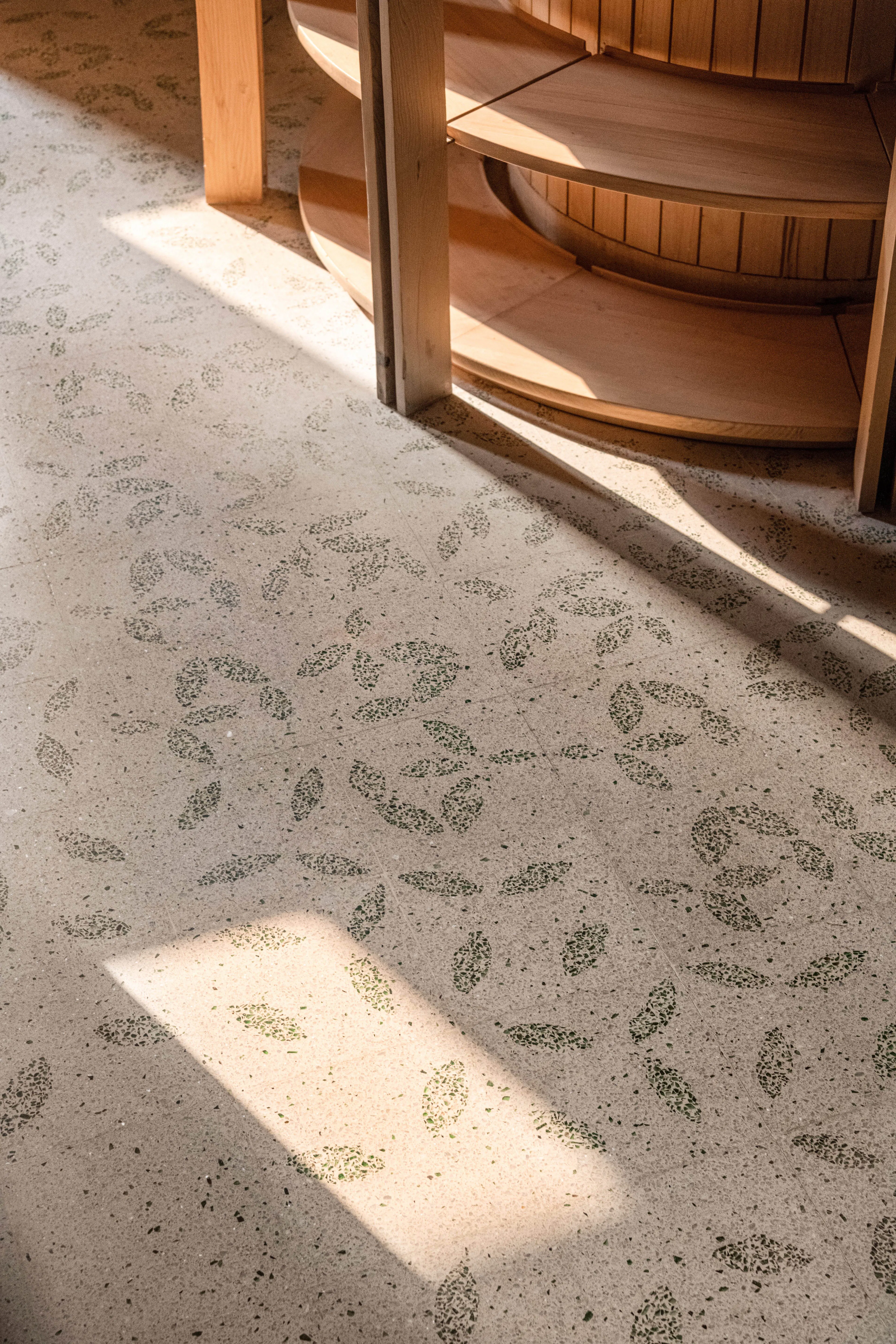 The Forest of Knowledge — 12