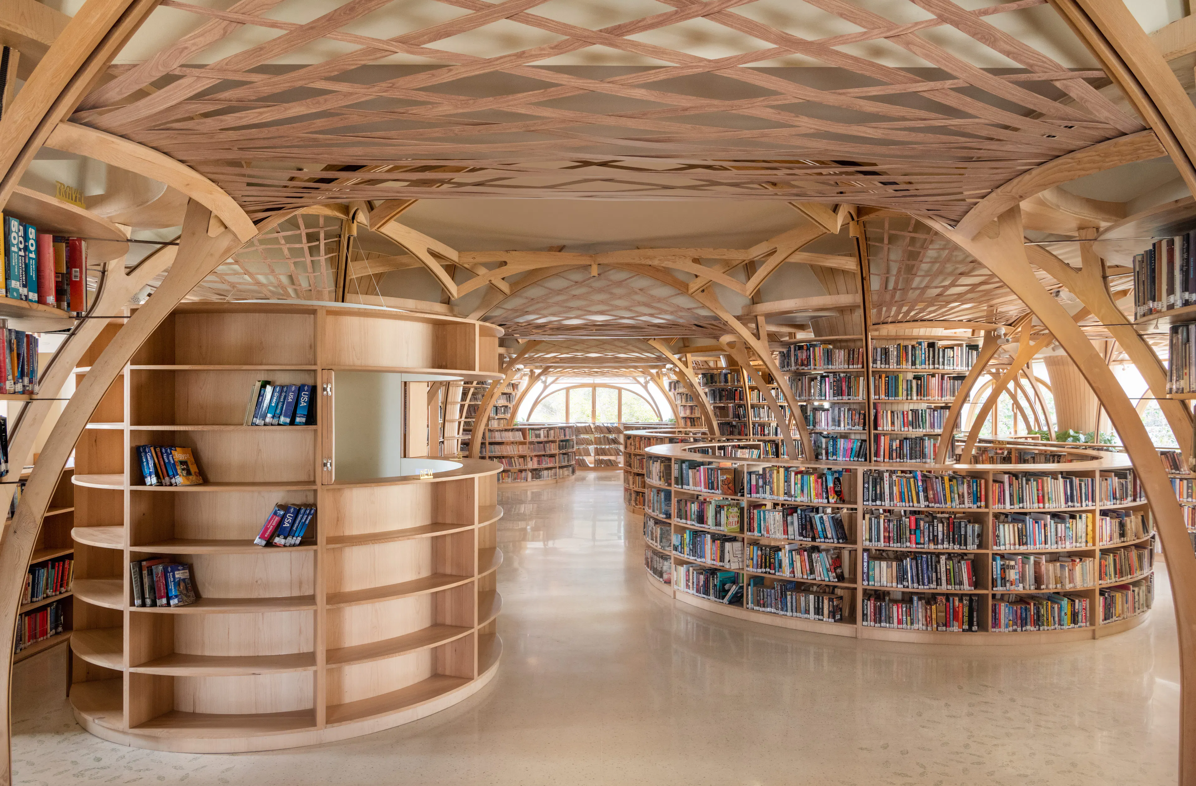 The Forest of Knowledge — 13