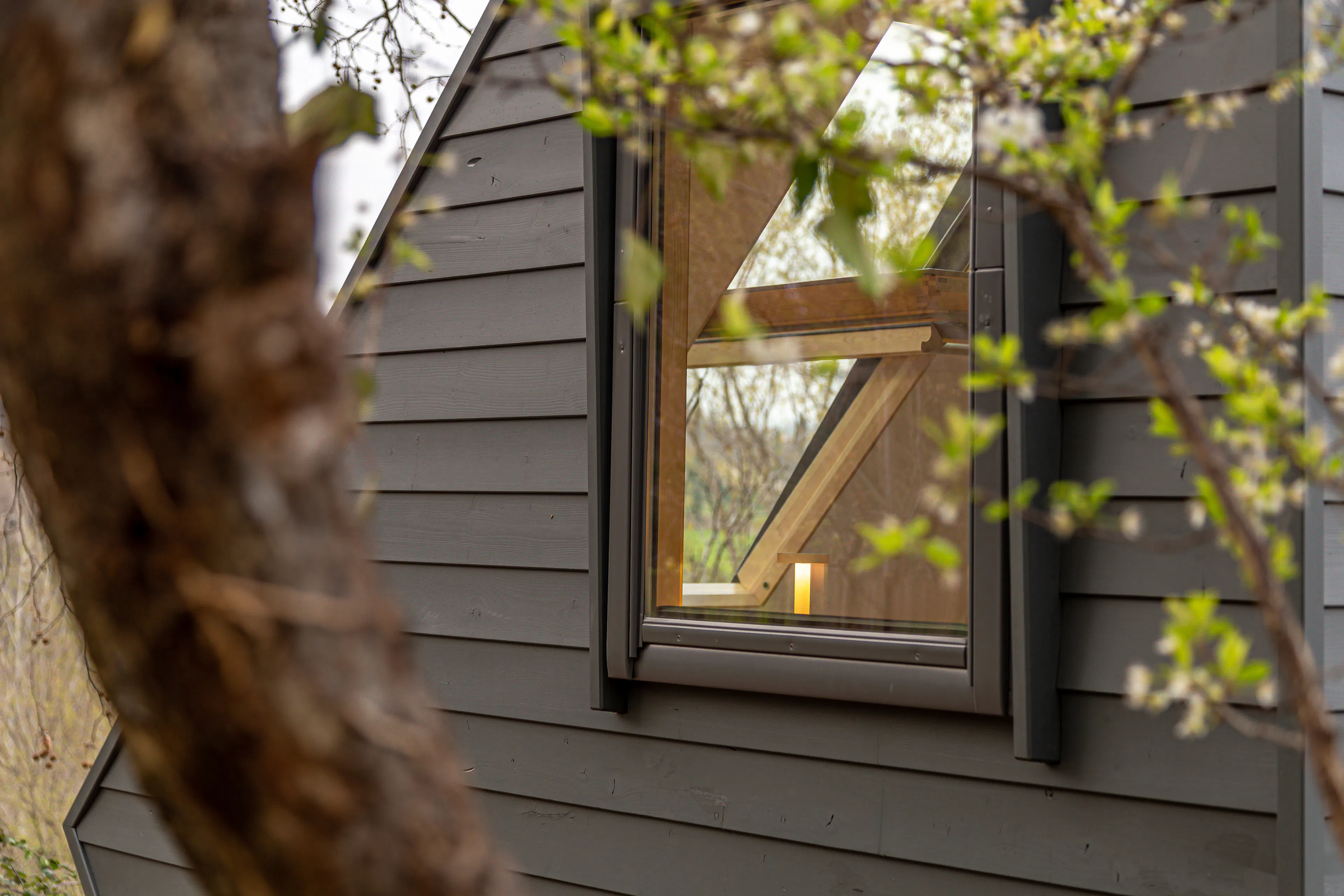 ESSENTIA Your Refuge — 4