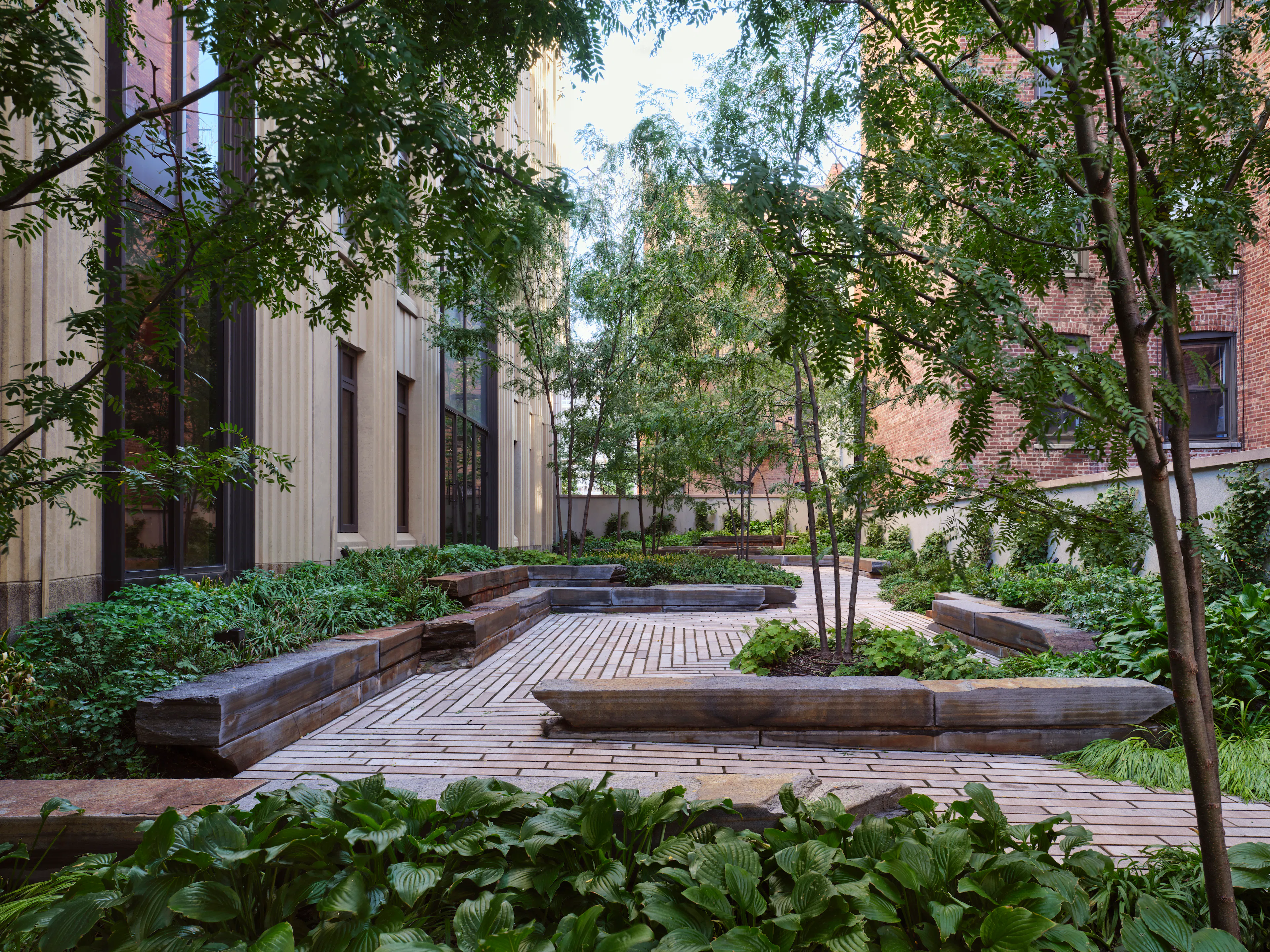 The Vandewater — 3