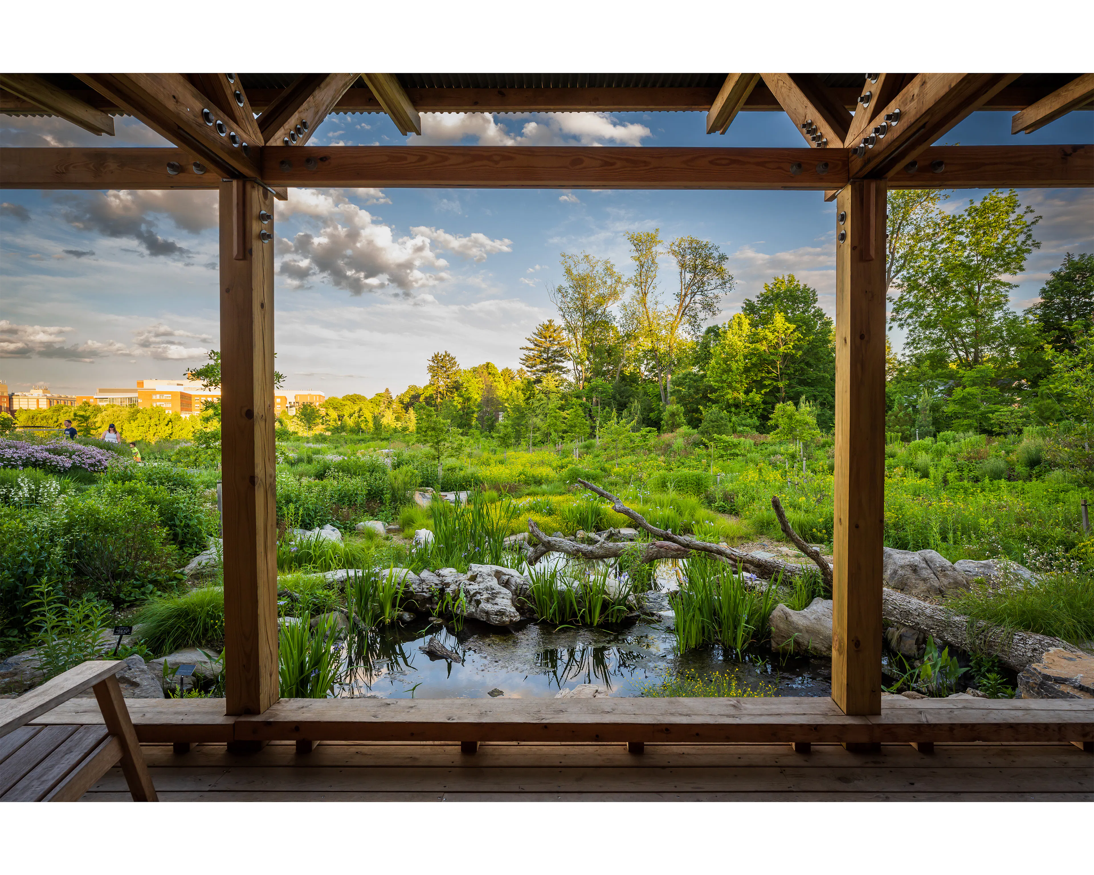 Where the Pollinators Are — 12