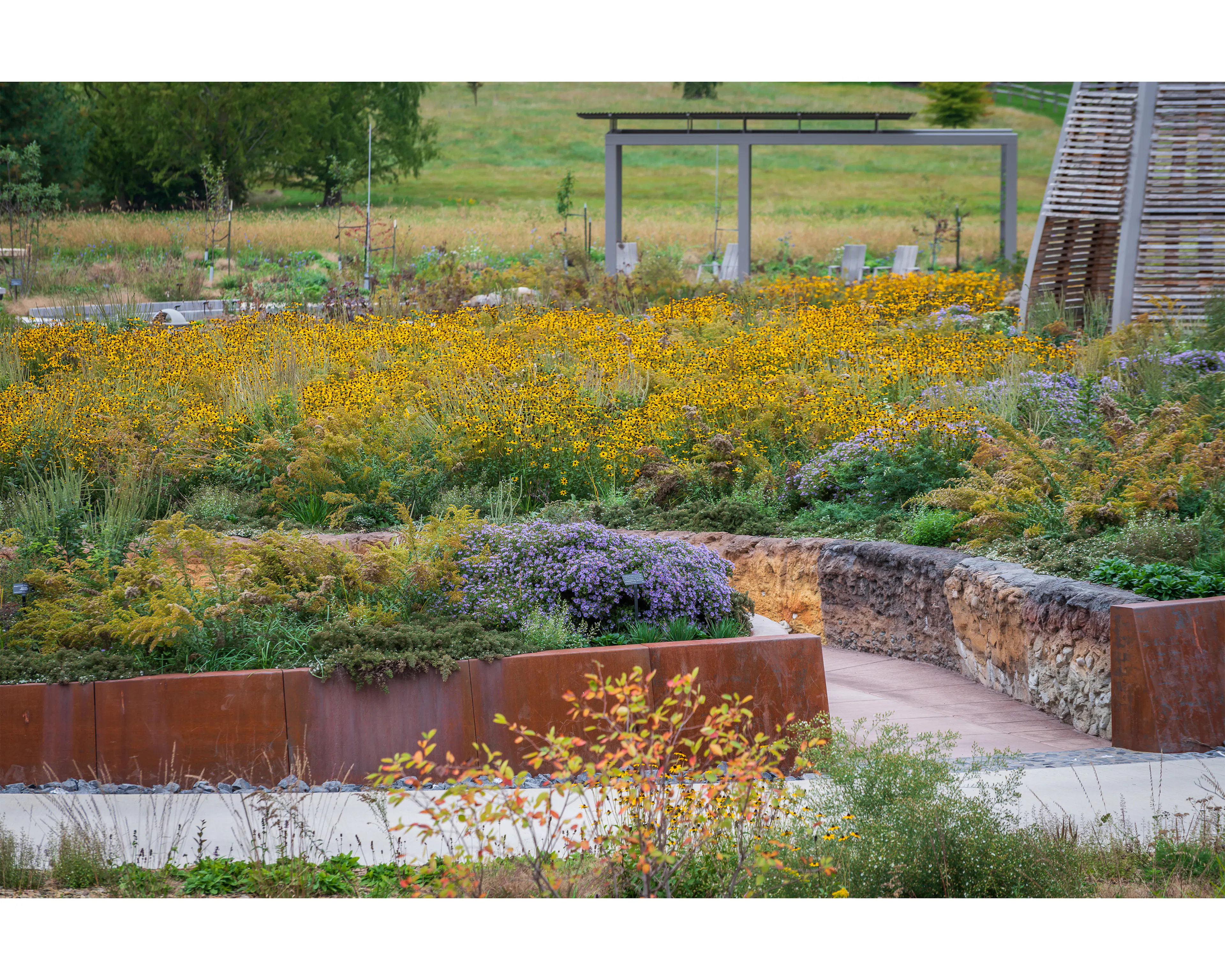 Where the Pollinators Are — 10