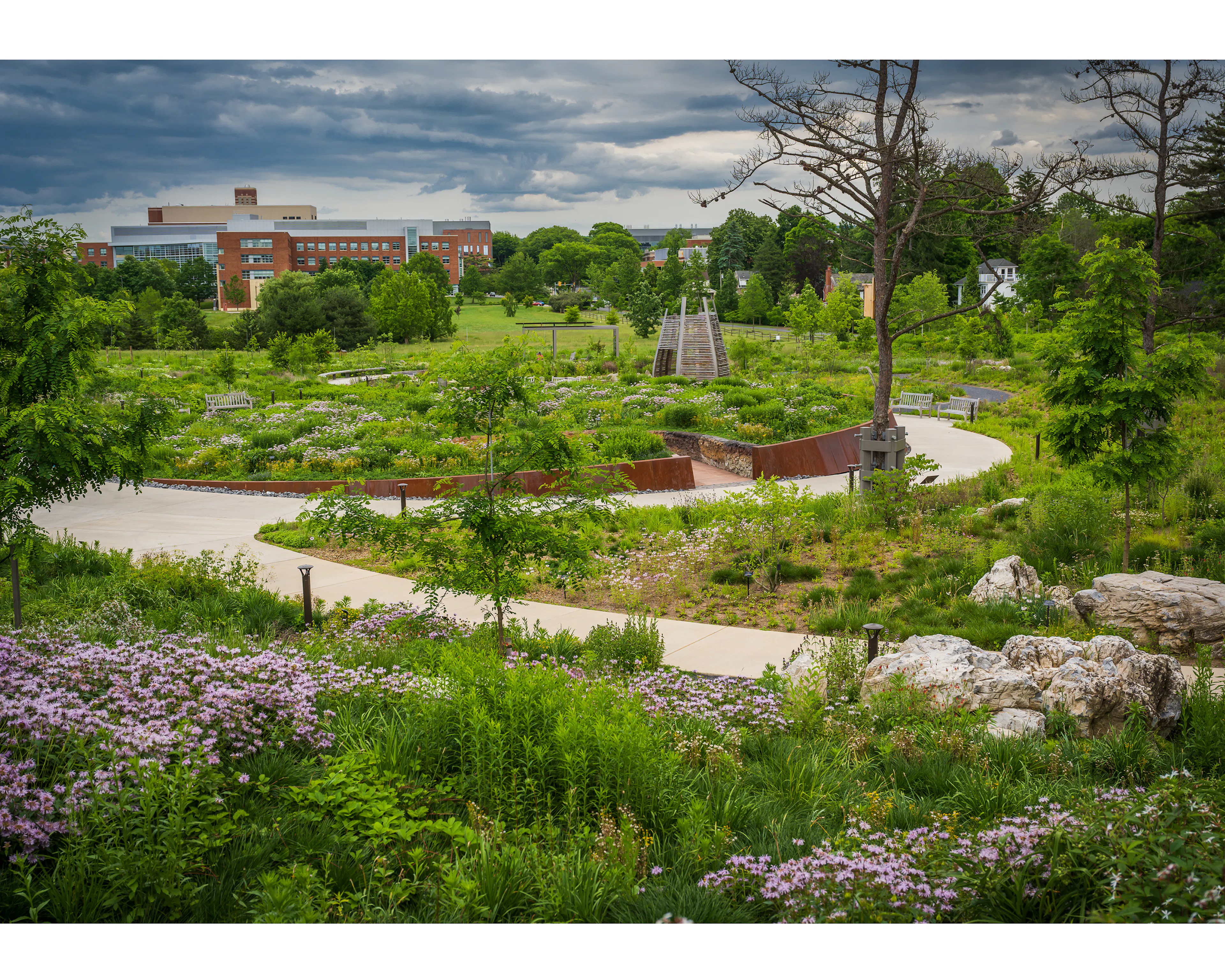 Where the Pollinators Are — 9