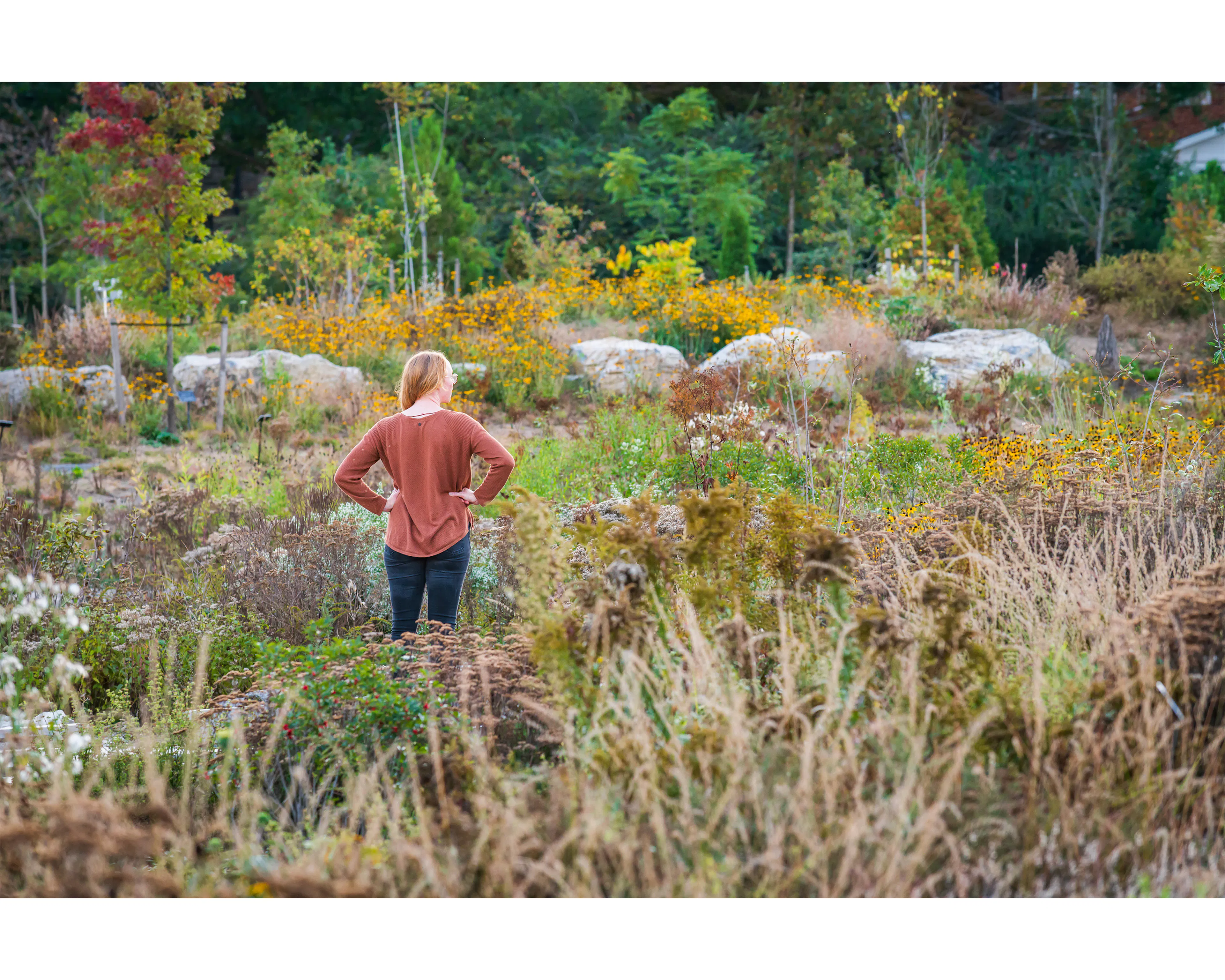 Where the Pollinators Are — 6