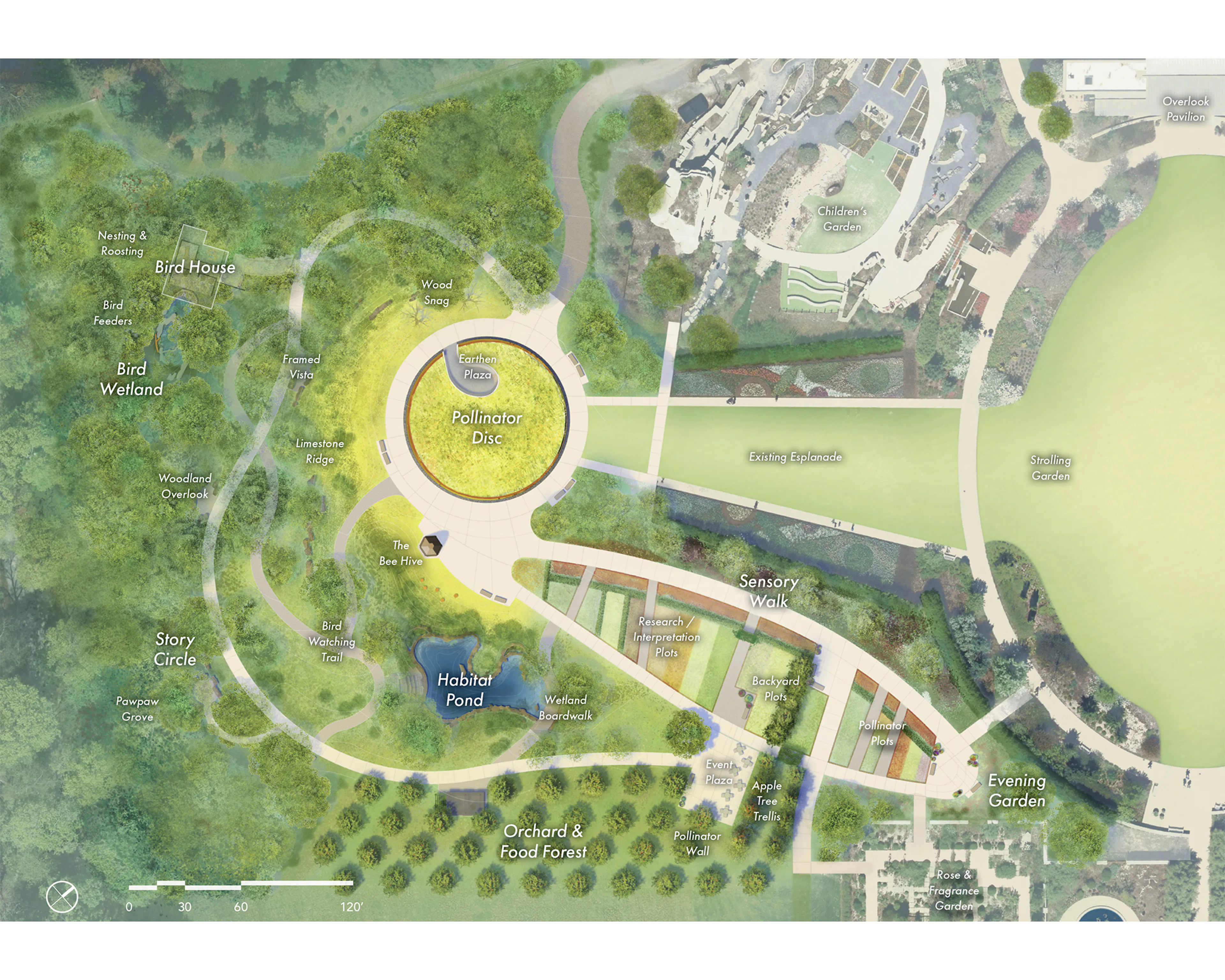 Where the Pollinators Are — 1