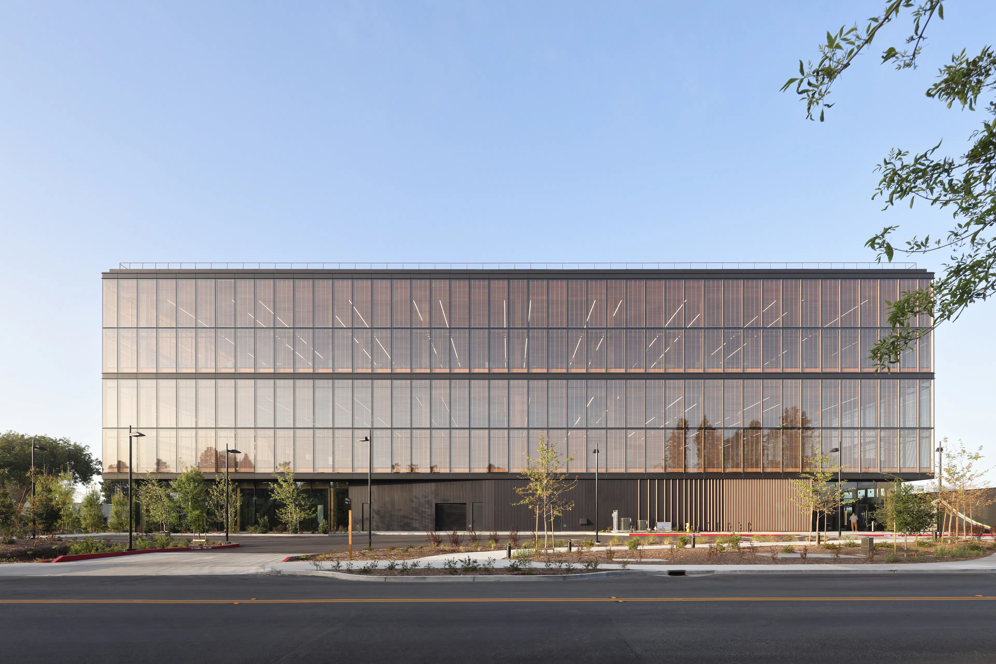 Google Borregas — 2