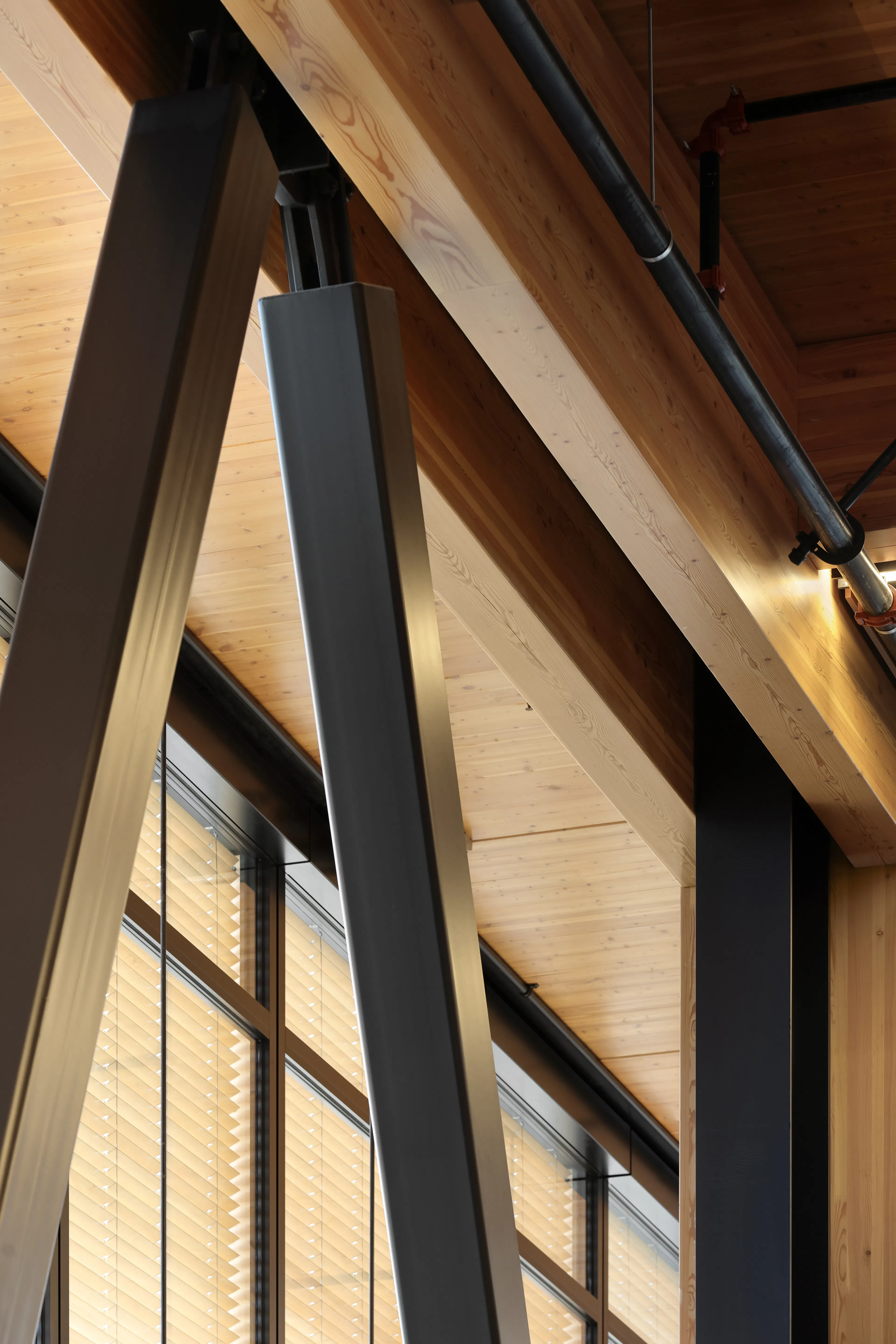 Google Borregas — 4