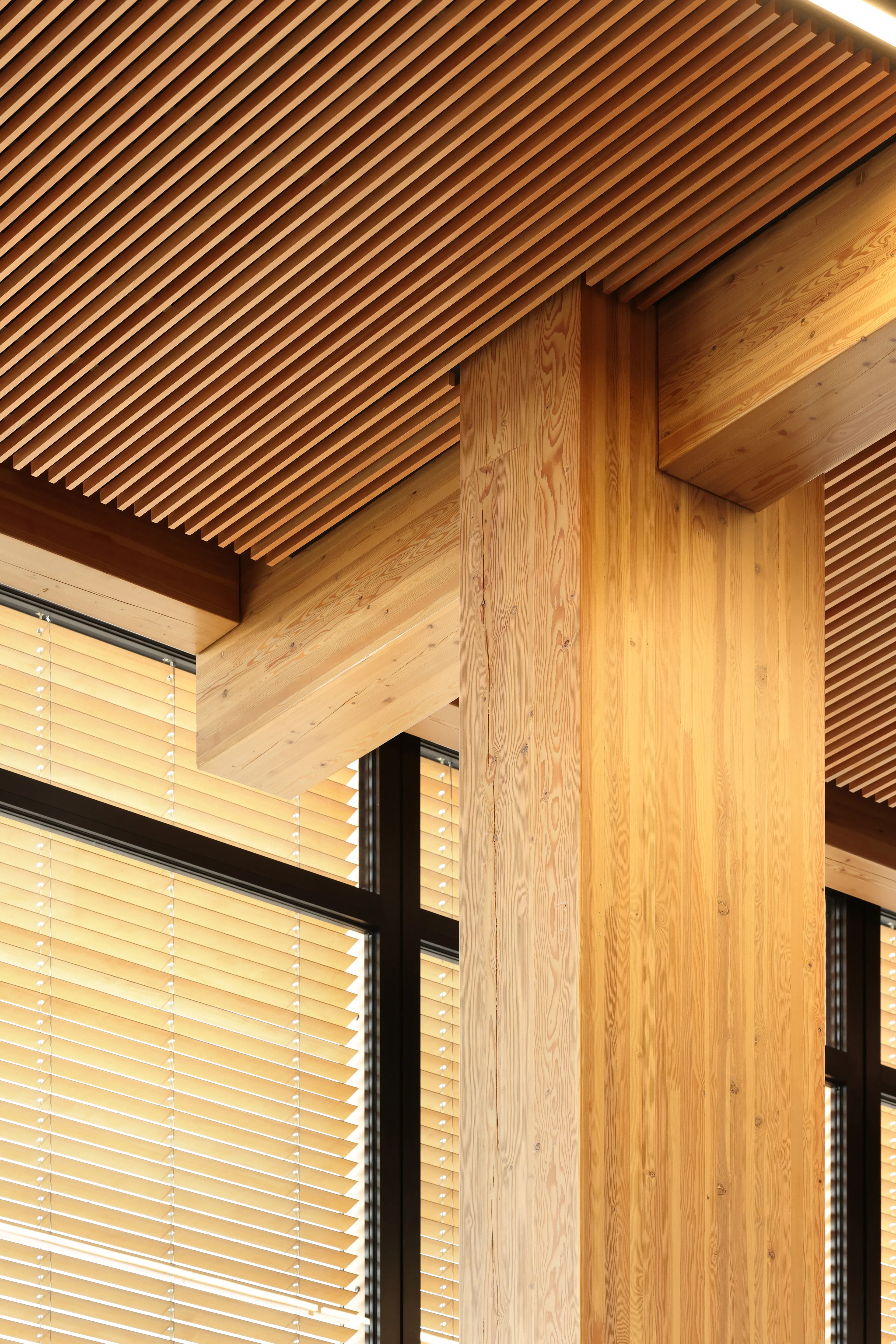 Google Borregas — 5