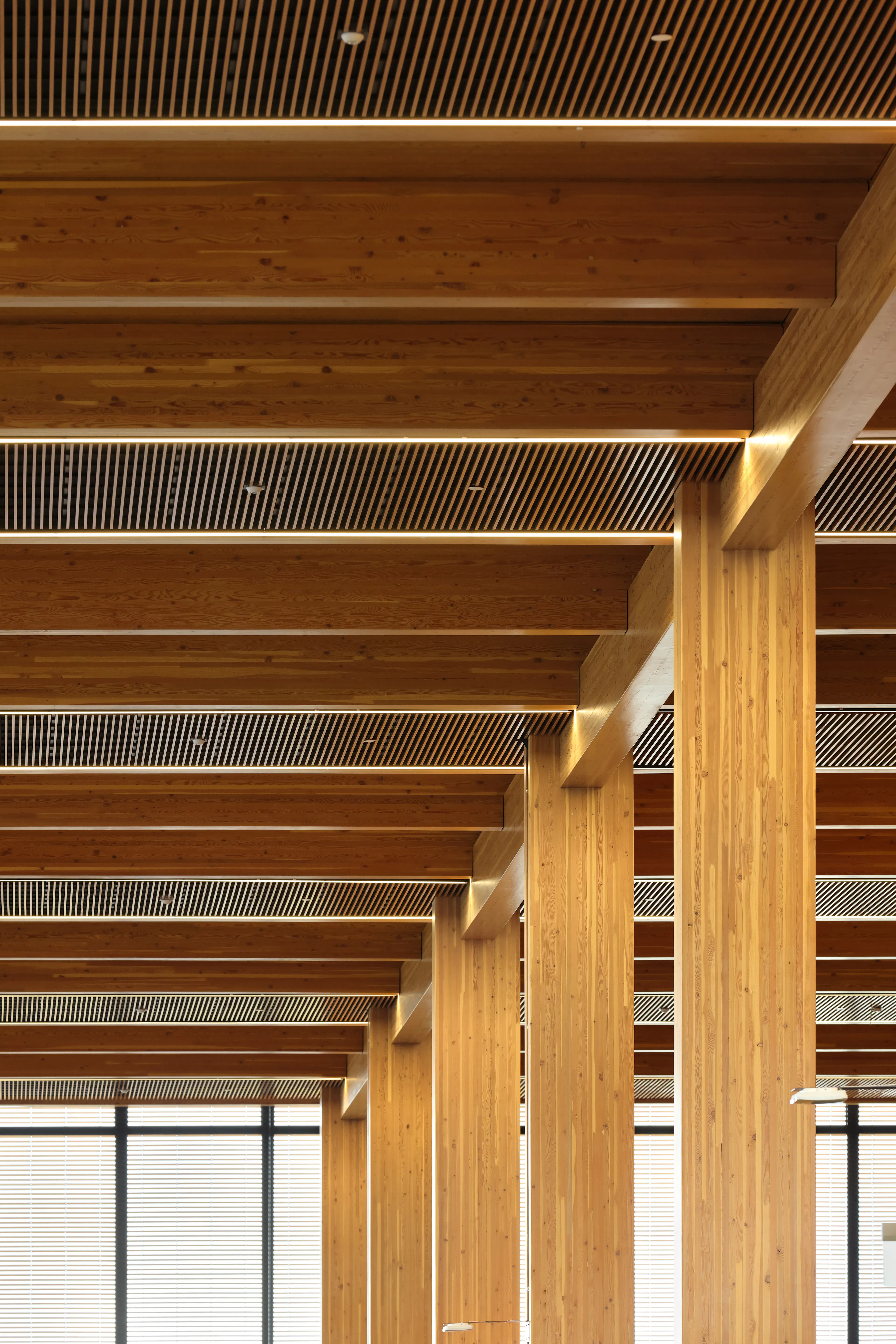 Google Borregas — 6