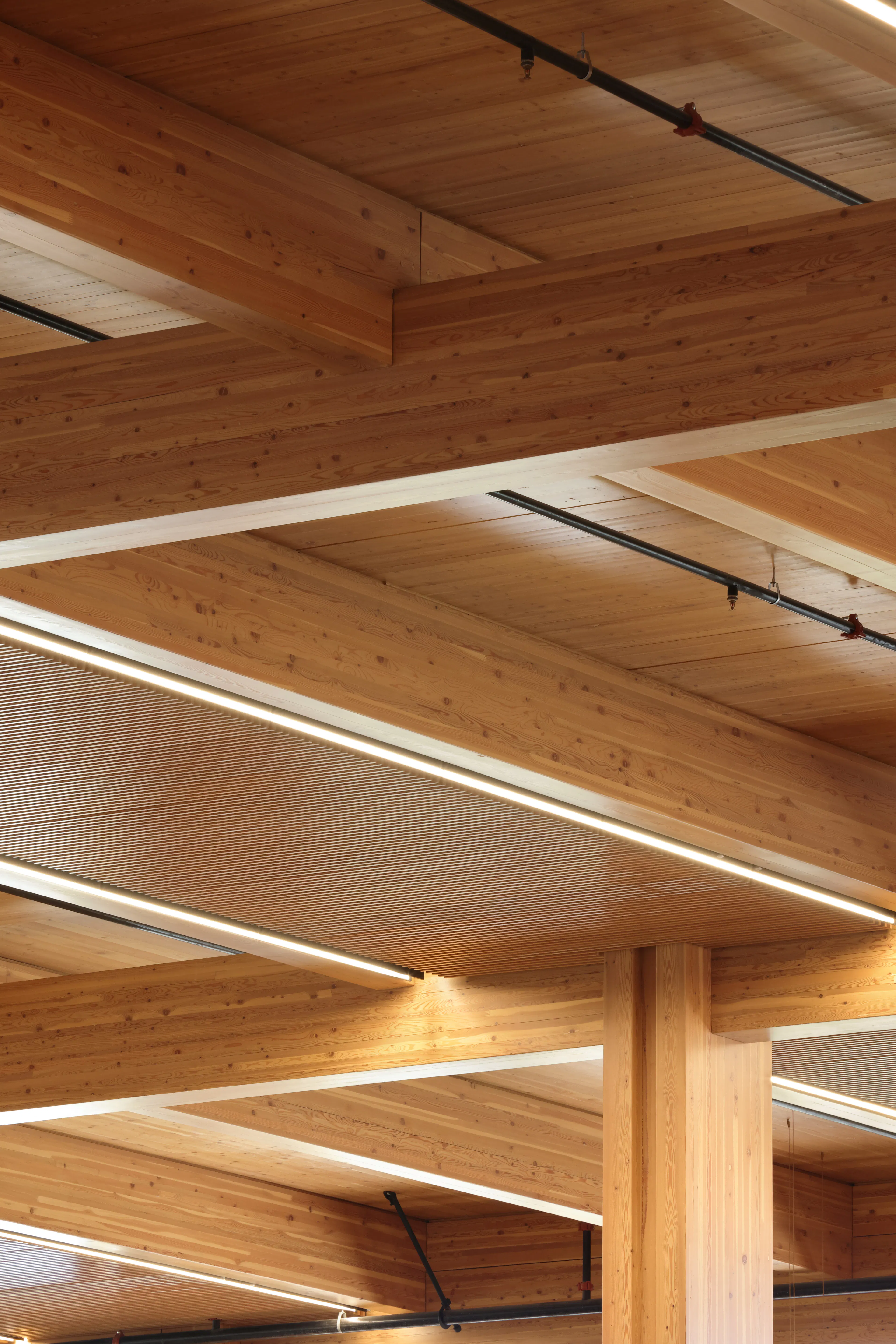 Google Borregas — 8