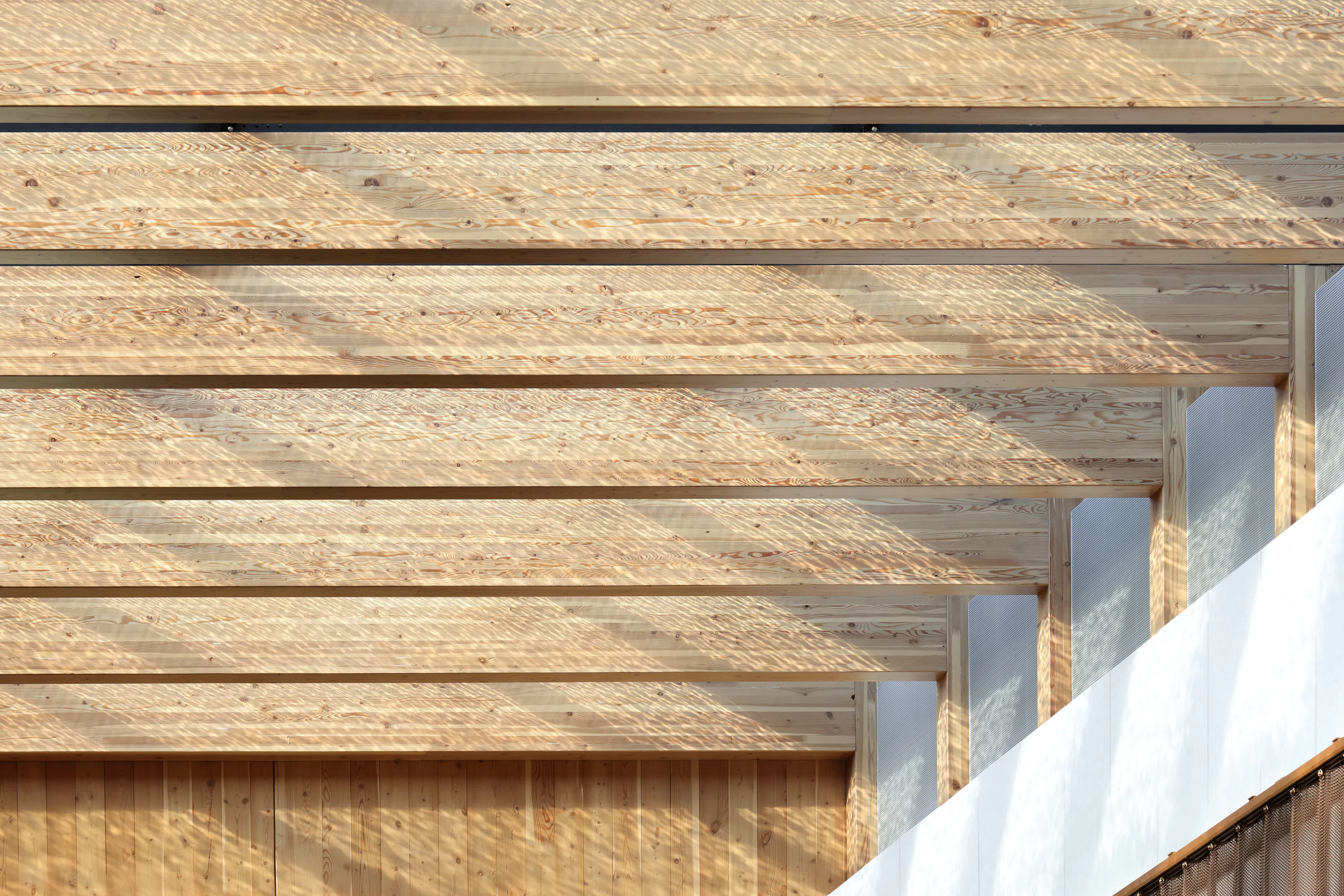 Google Borregas — 9