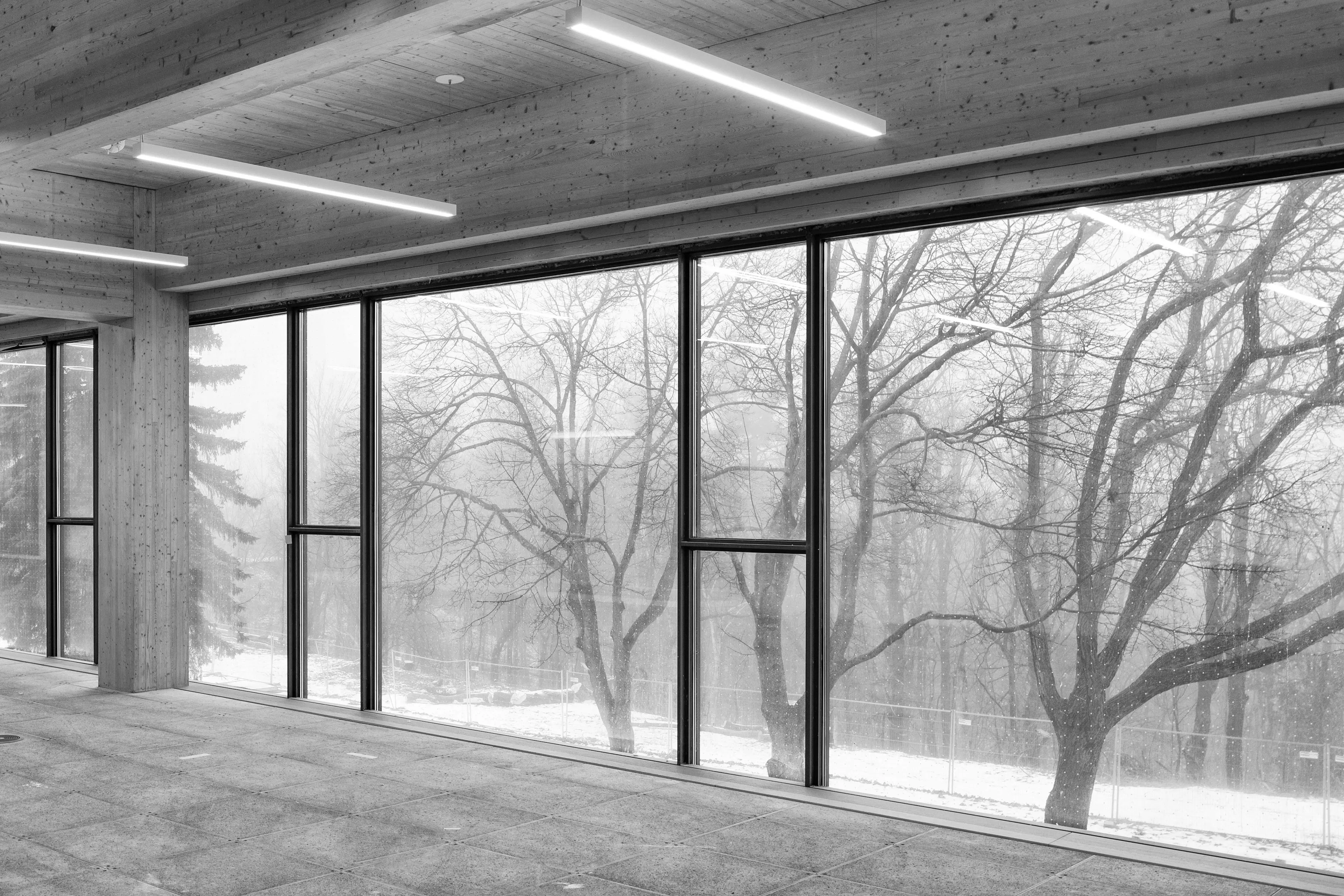 CREATING THE OSSTF WITH MASS TIMBER — 7