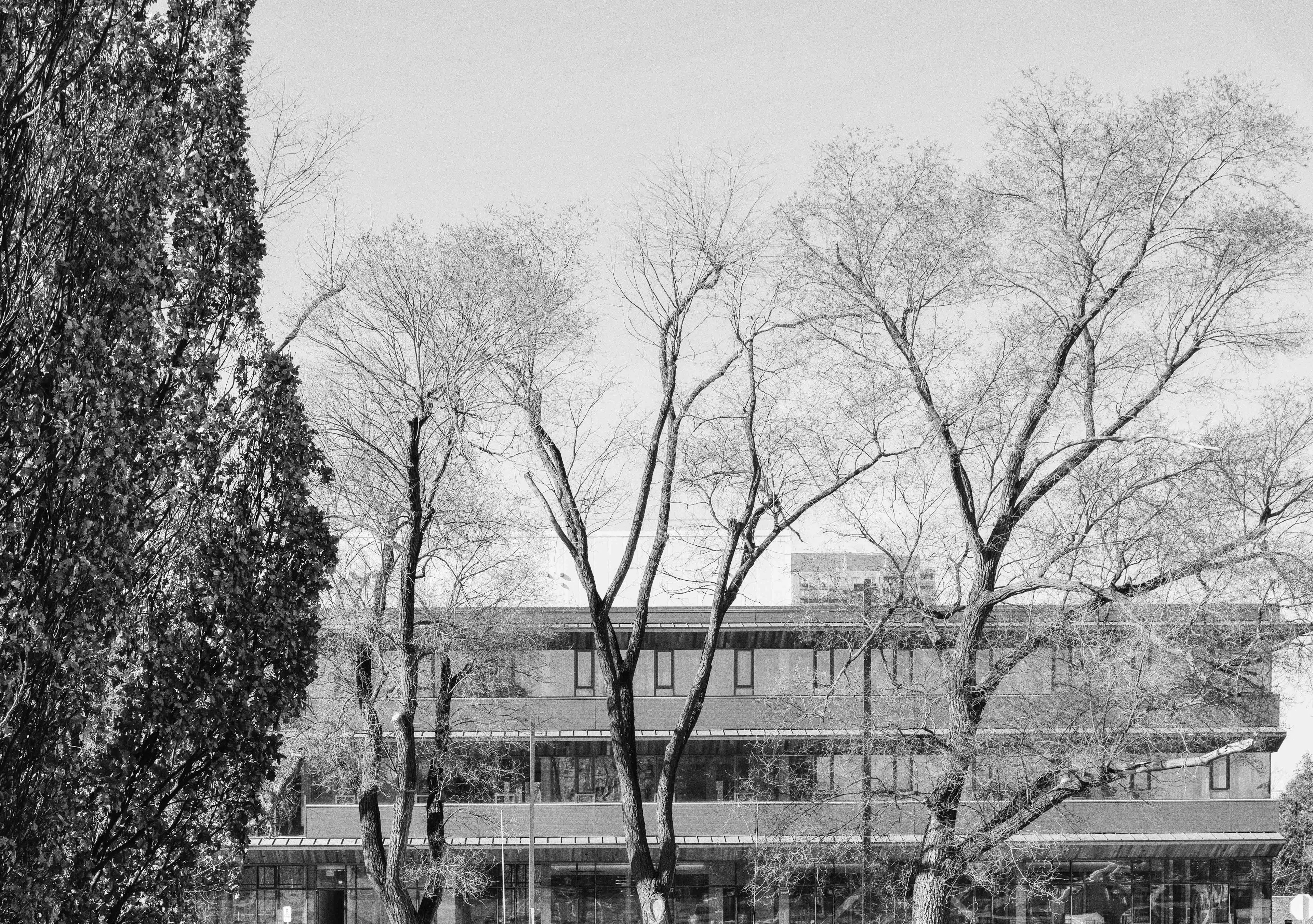 CREATING THE OSSTF WITH MASS TIMBER — 8