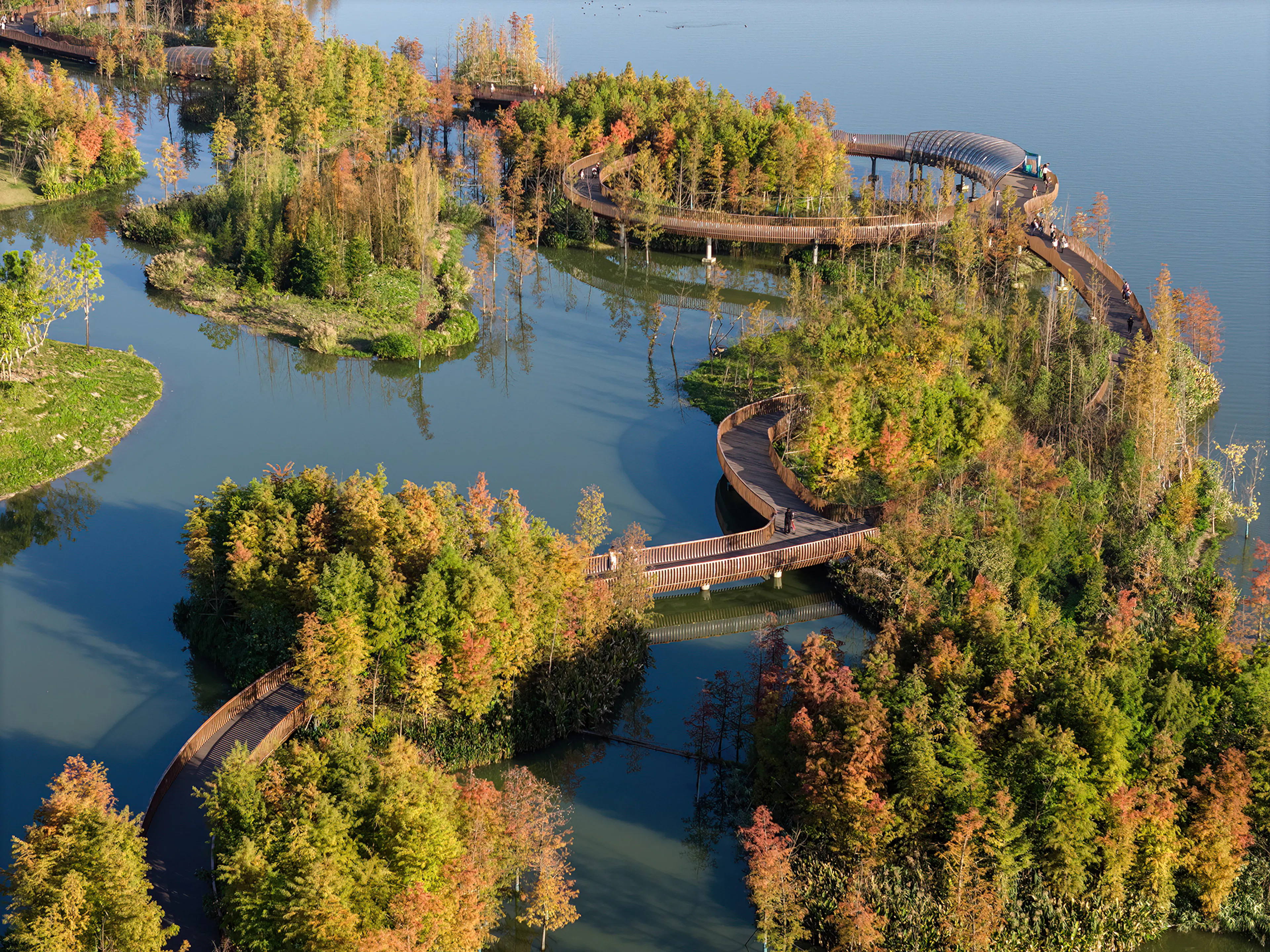 Ecological Restoration of Tongjian Lake Park