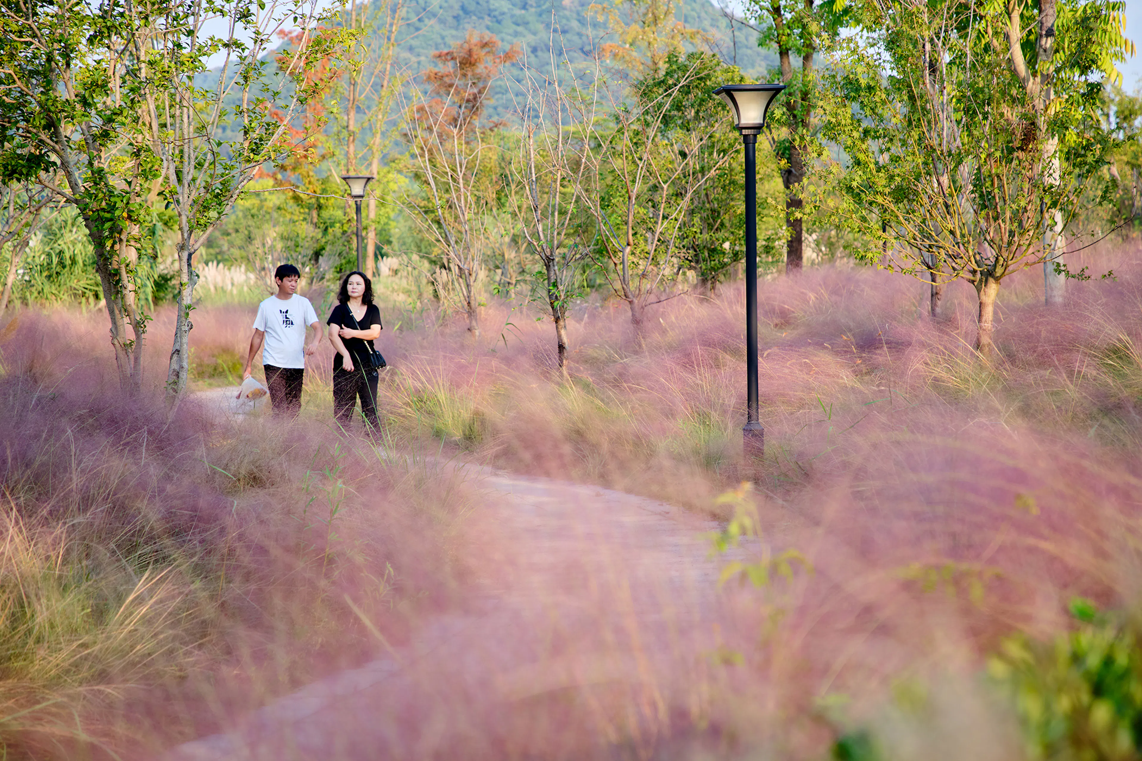 Ecological Restoration of Tongjian Lake Park — 10