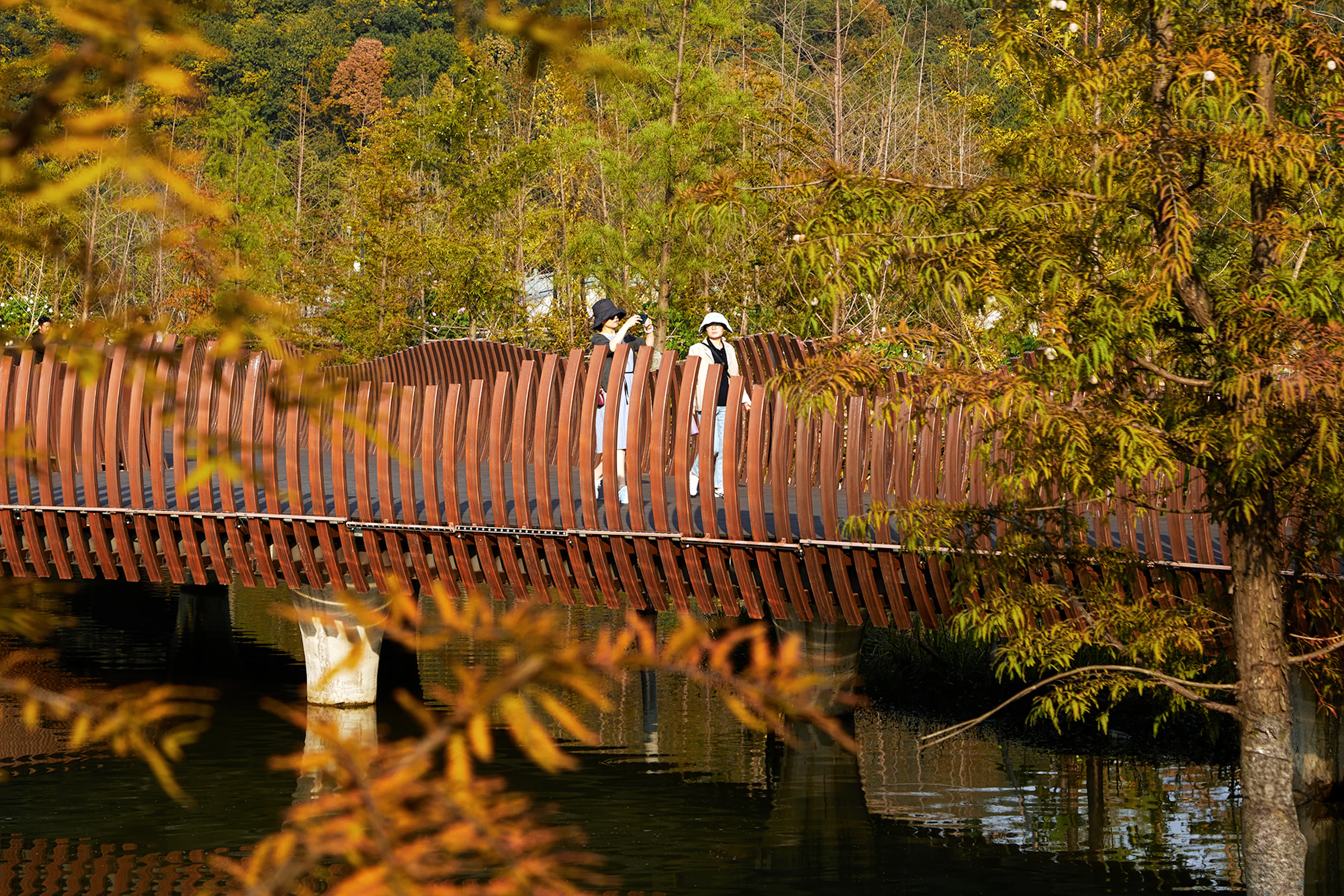 Ecological Restoration of Tongjian Lake Park — 12