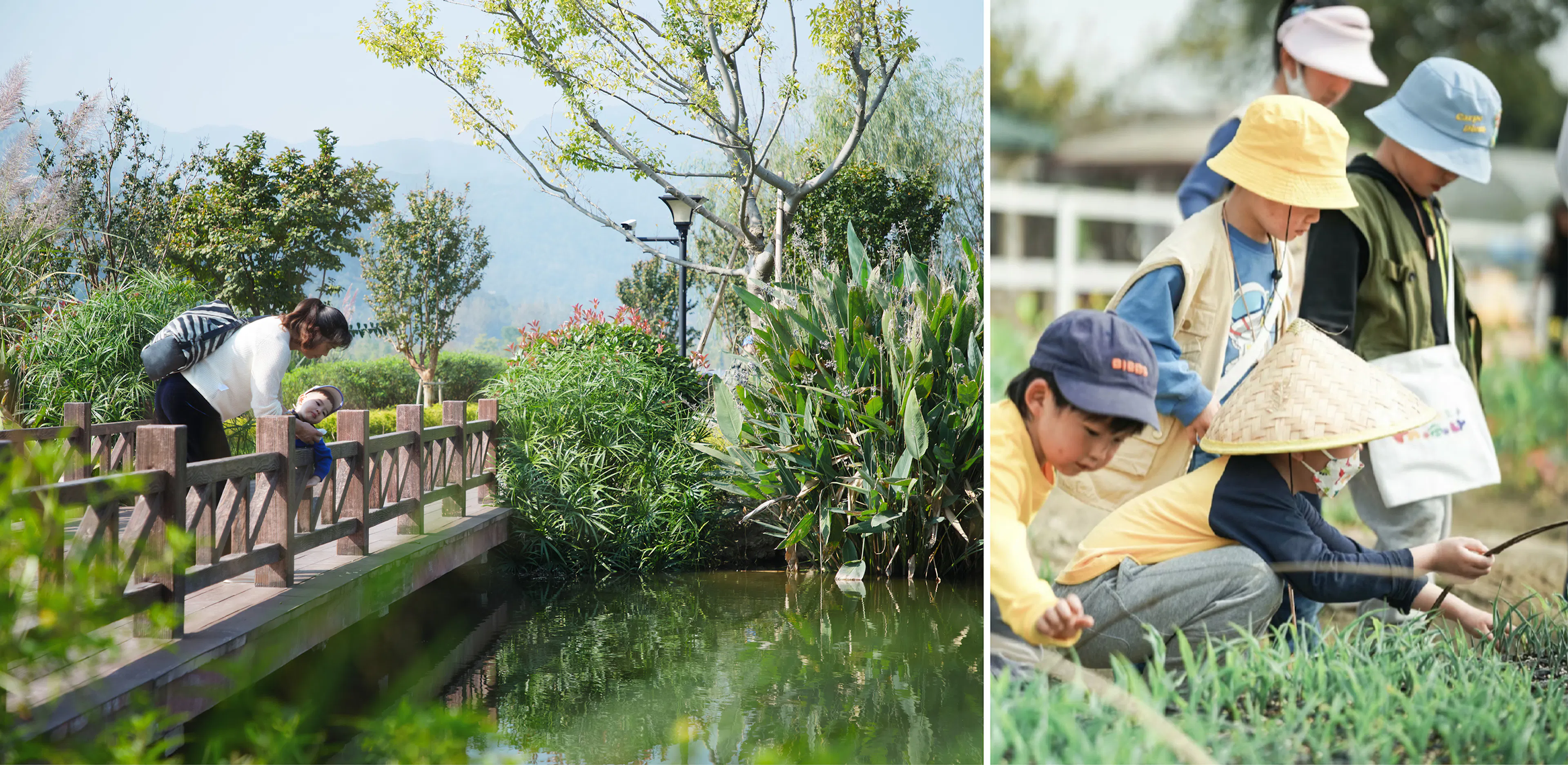 Ecological Restoration of Tongjian Lake Park — 13
