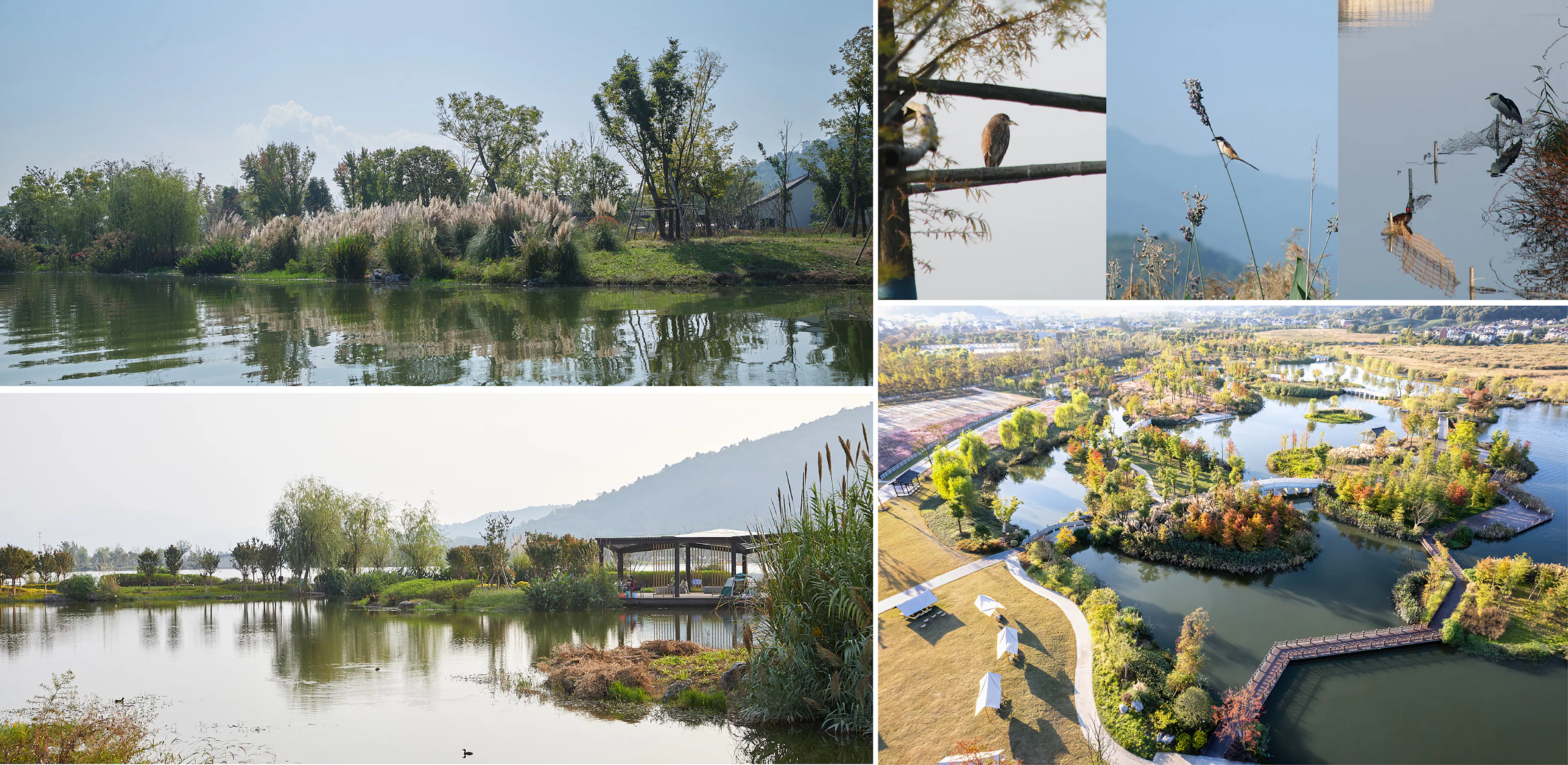 Ecological Restoration of Tongjian Lake Park — 17