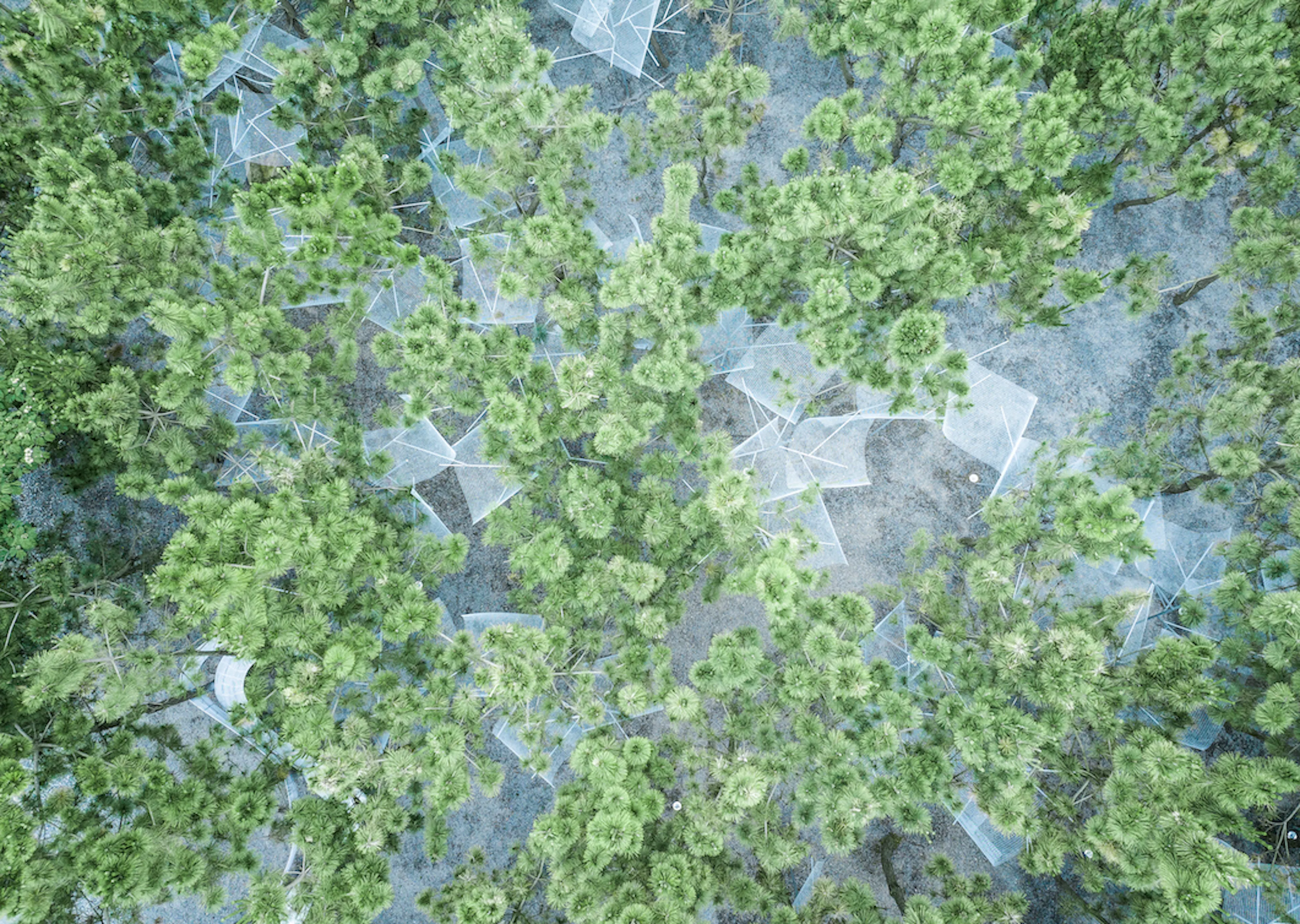 Songyi Theater — 7