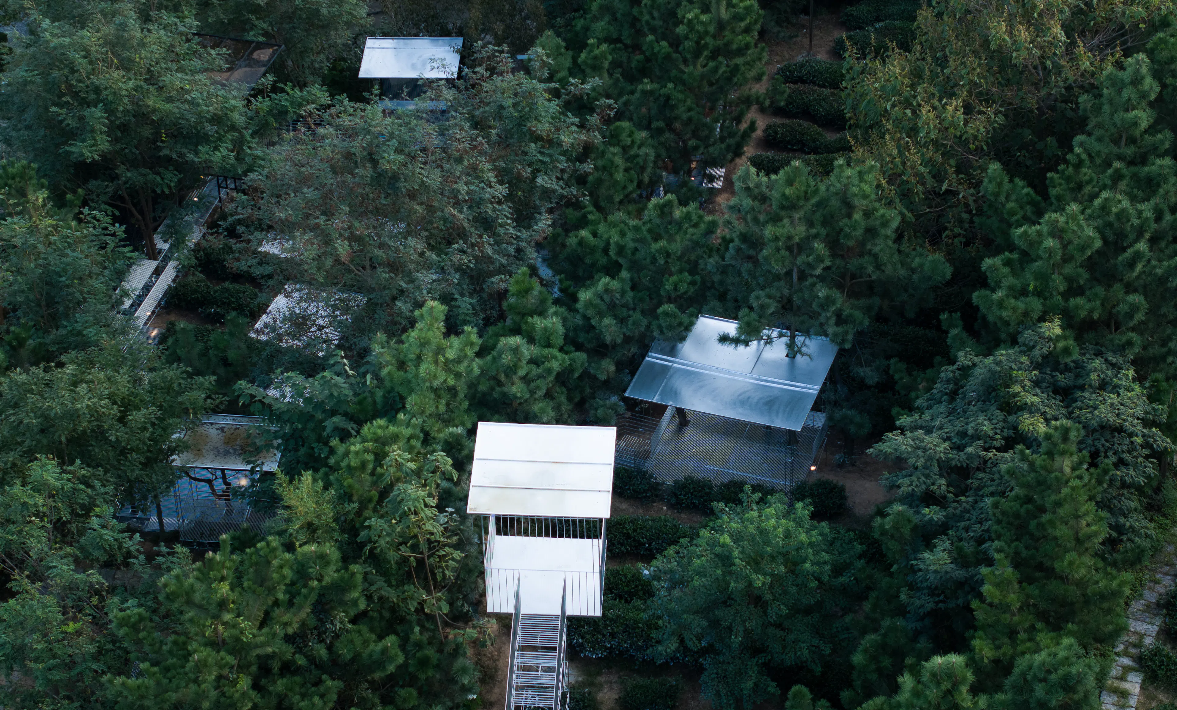 Meditation garden — 1