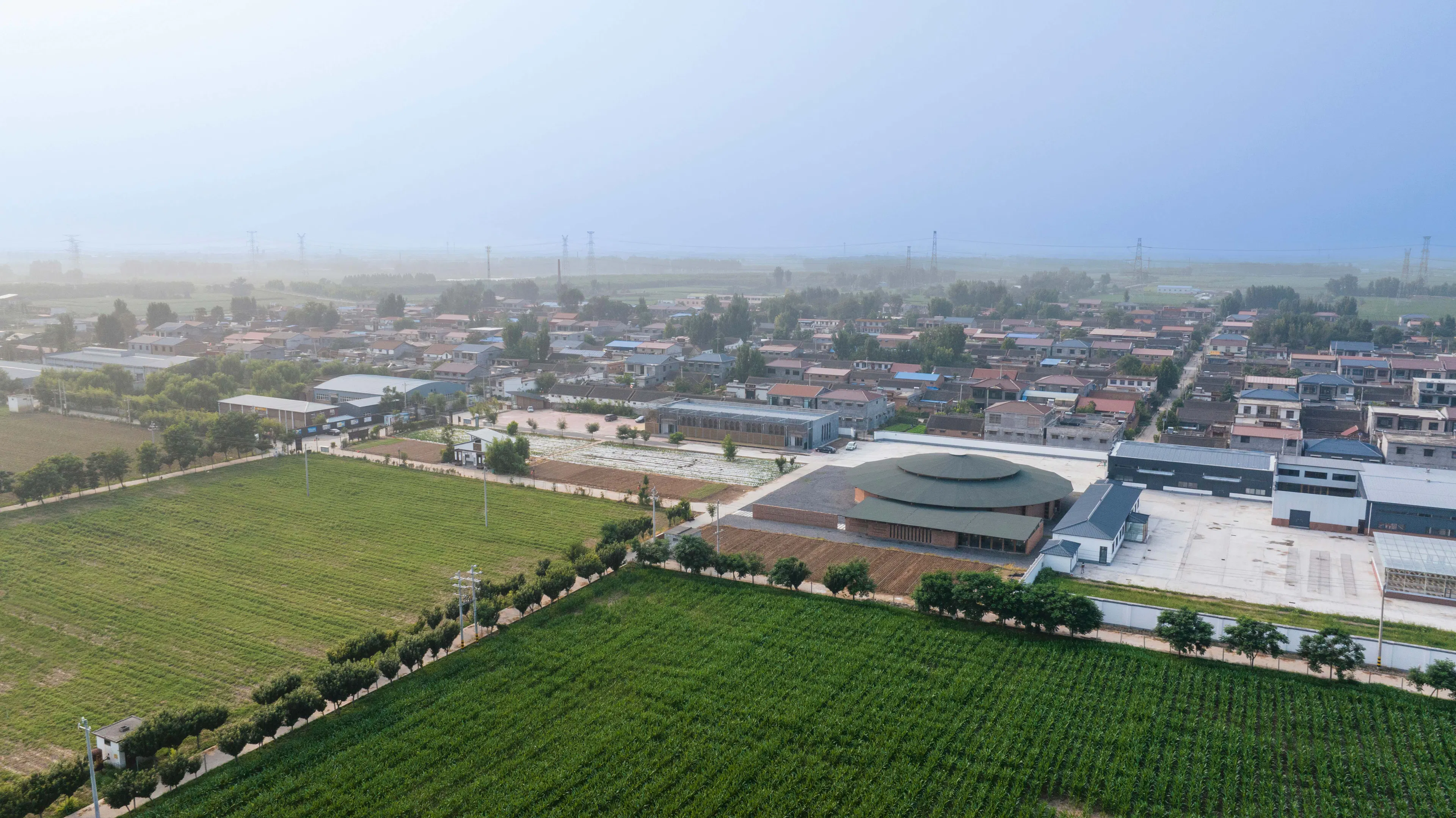 Prepared Rehmannia Root Crafts Exhibition Hall — 3