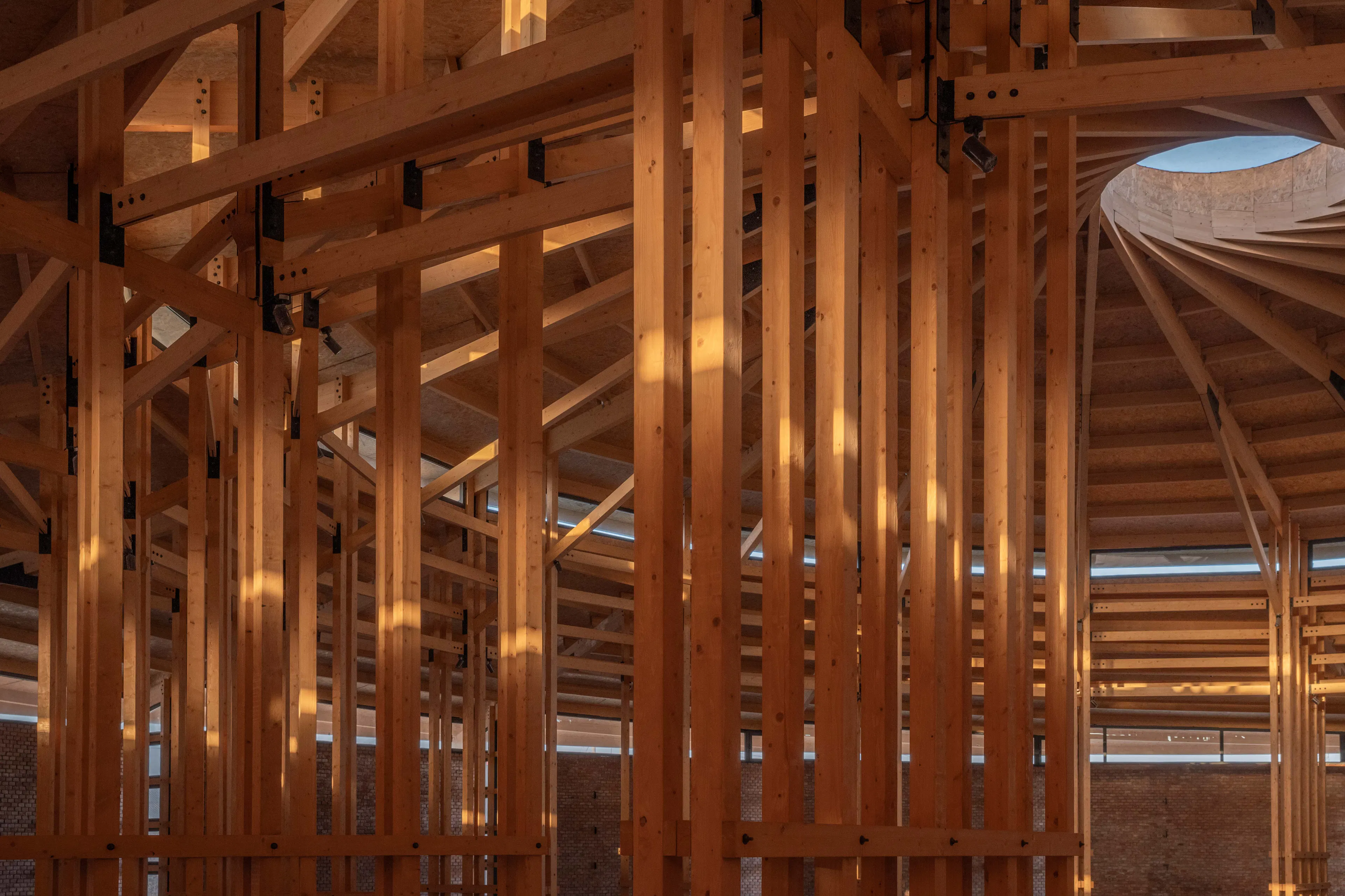 Prepared Rehmannia Root Crafts Exhibition Hall — 24