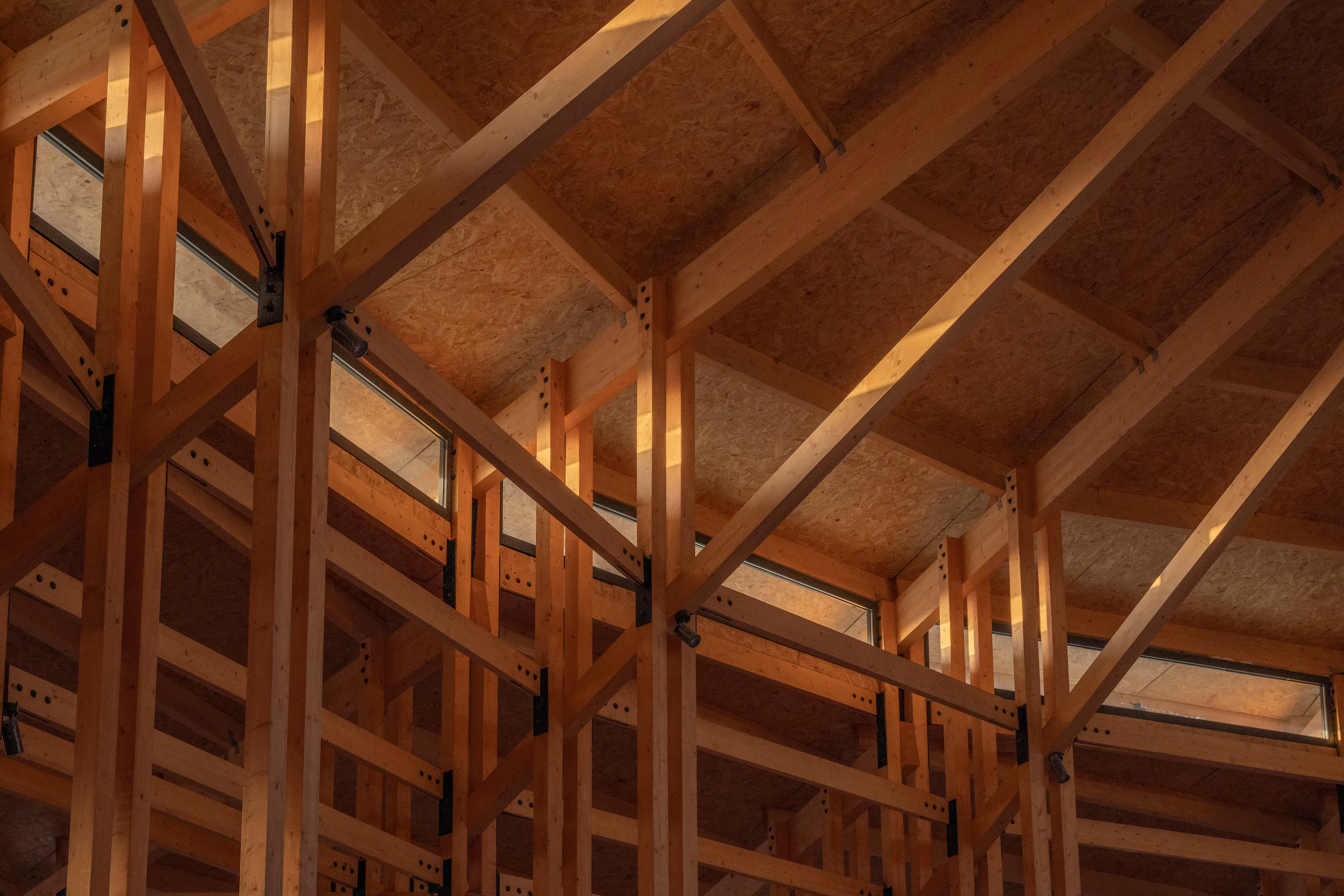 Prepared Rehmannia Root Crafts Exhibition Hall — 25