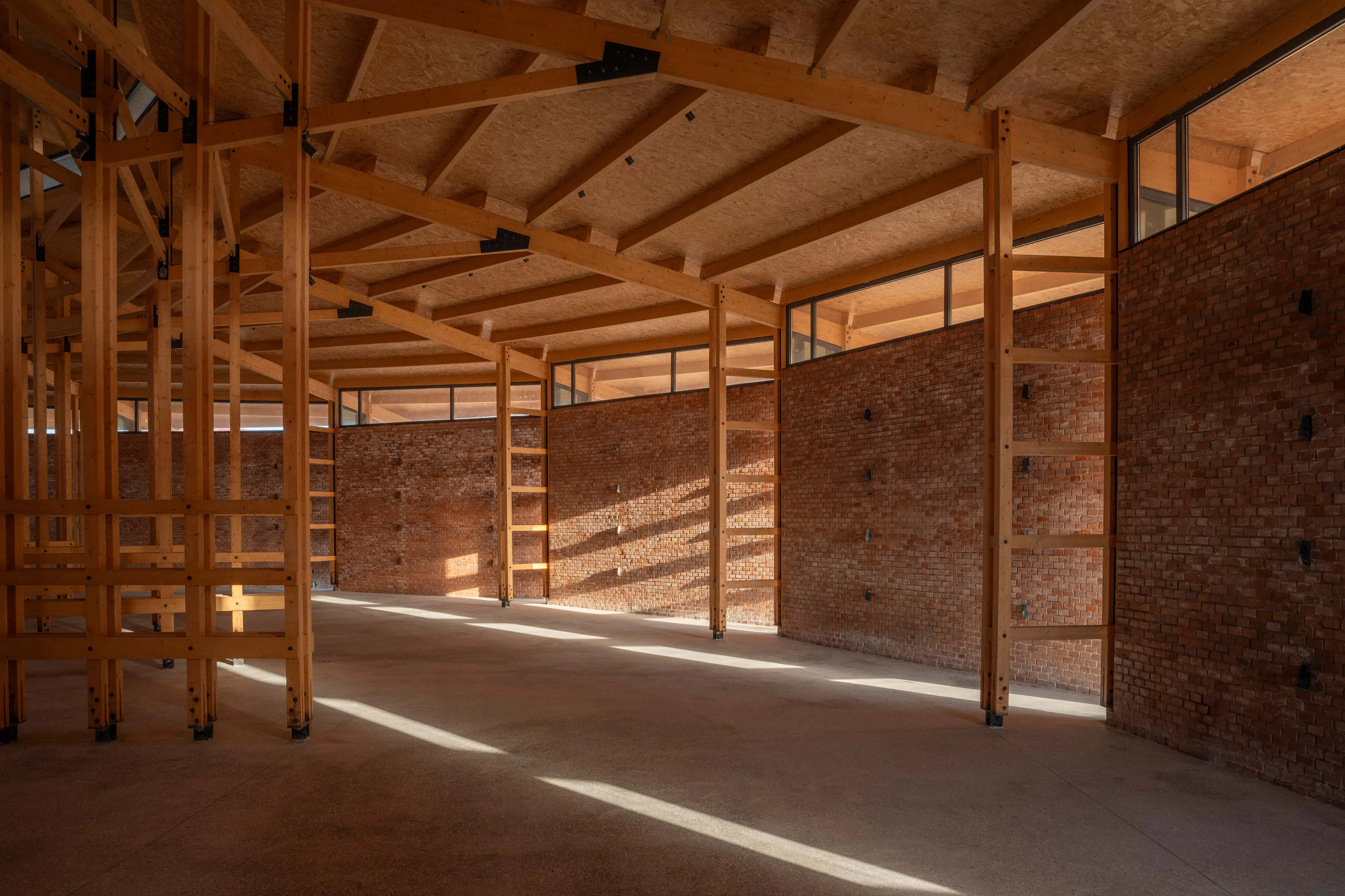 Prepared Rehmannia Root Crafts Exhibition Hall — 30