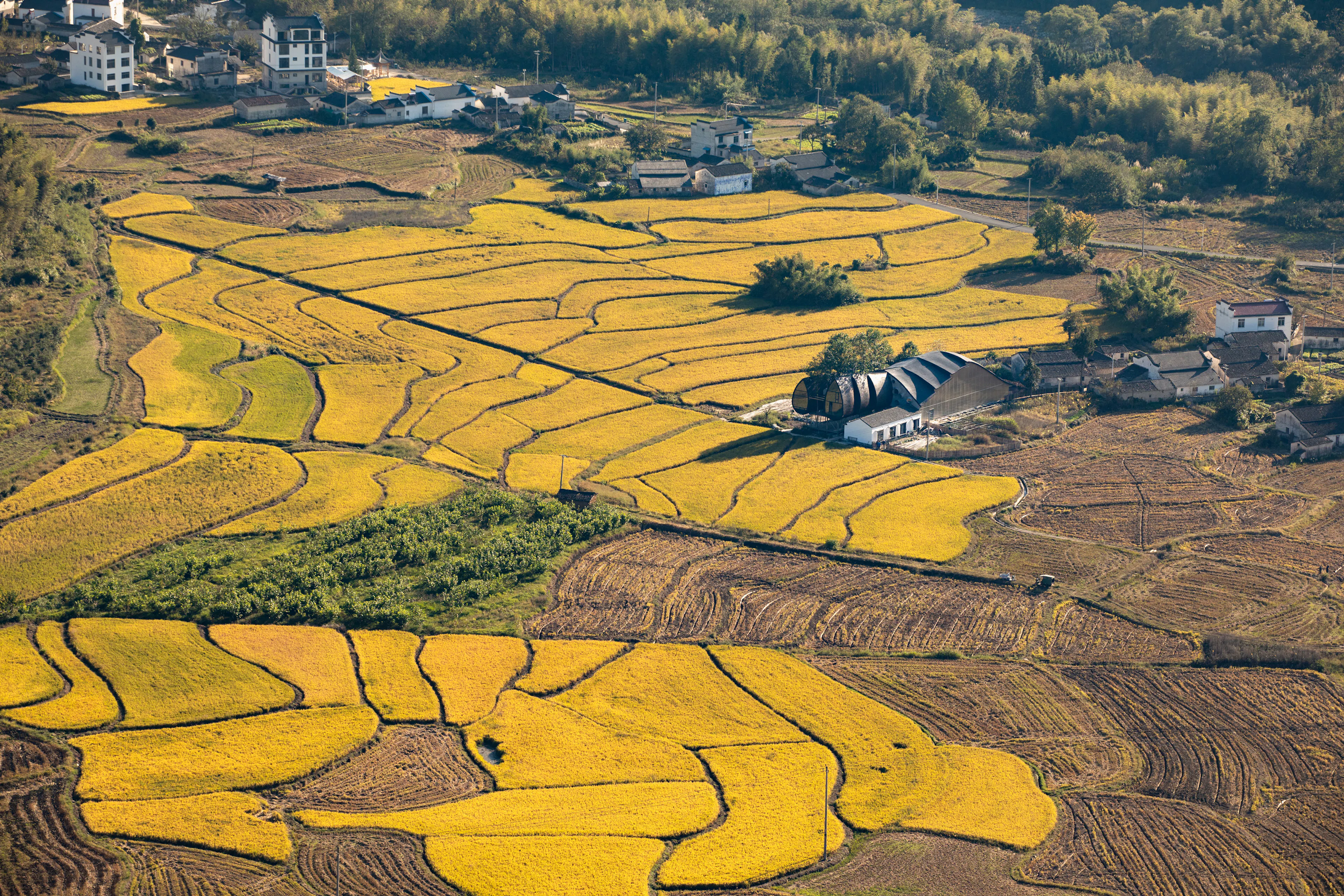 Jiulongfeng Children Learning Center for Conservation — 5