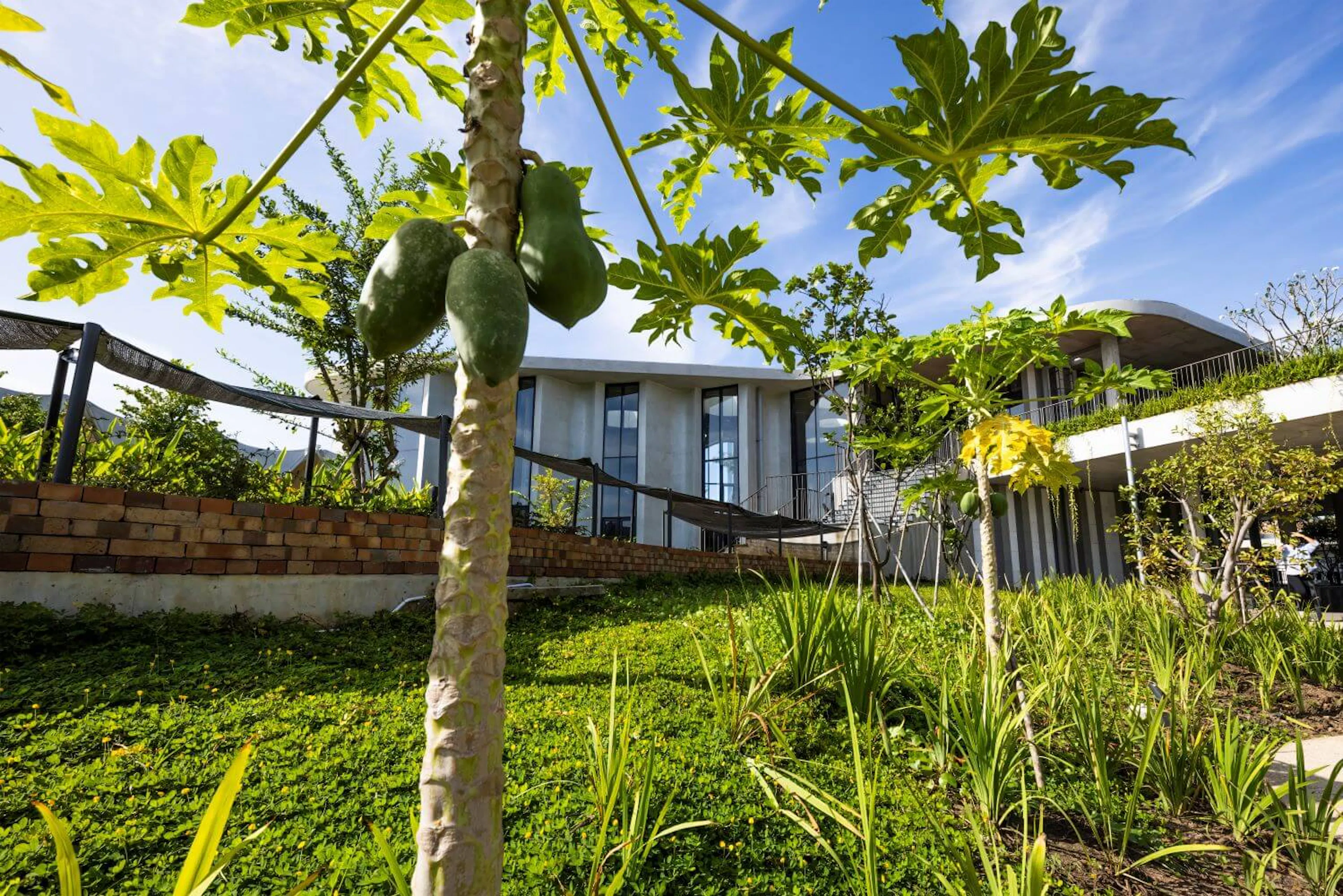 Hikari-4Ps Edutainment Hub — 7