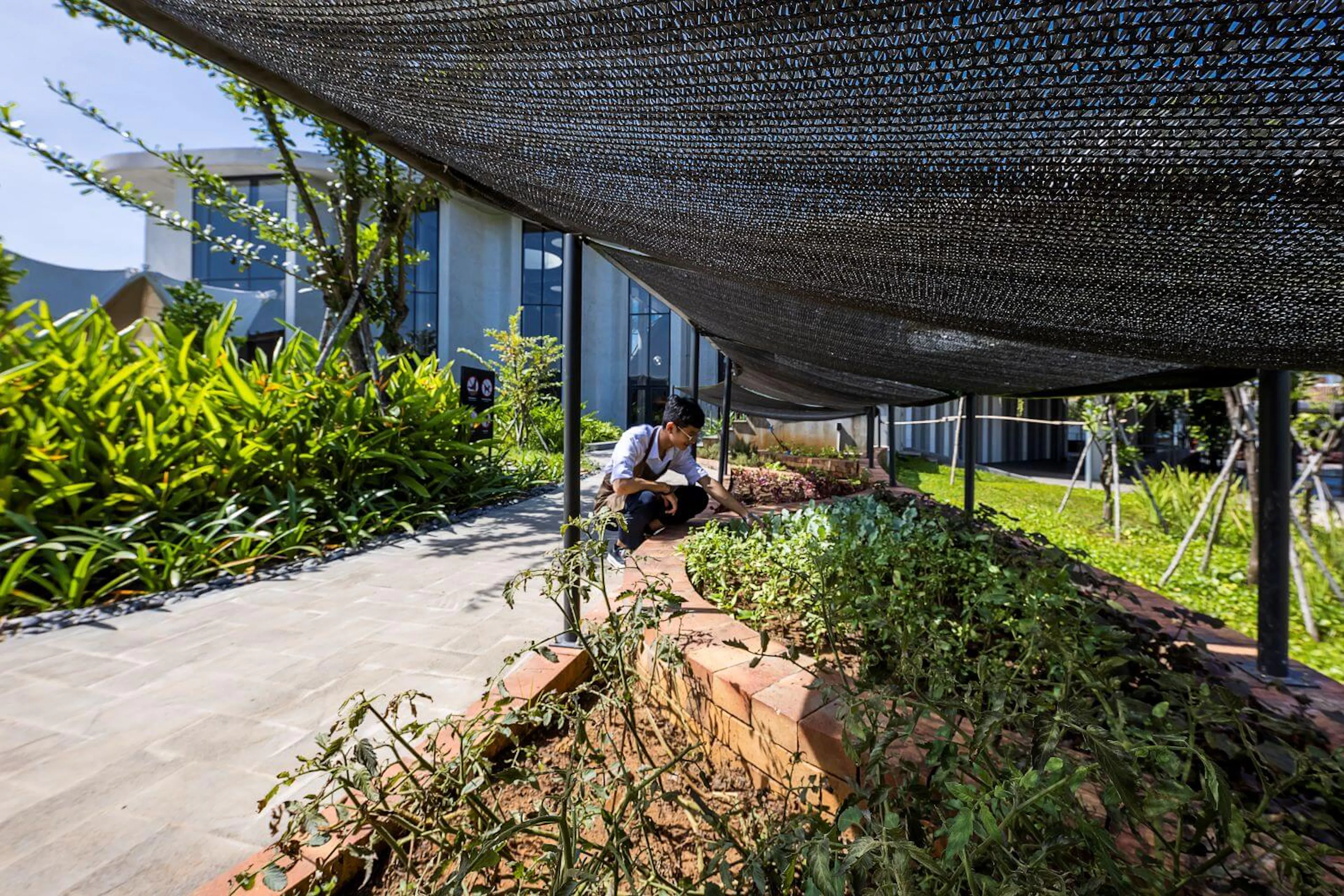 Hikari-4Ps Edutainment Hub — 8