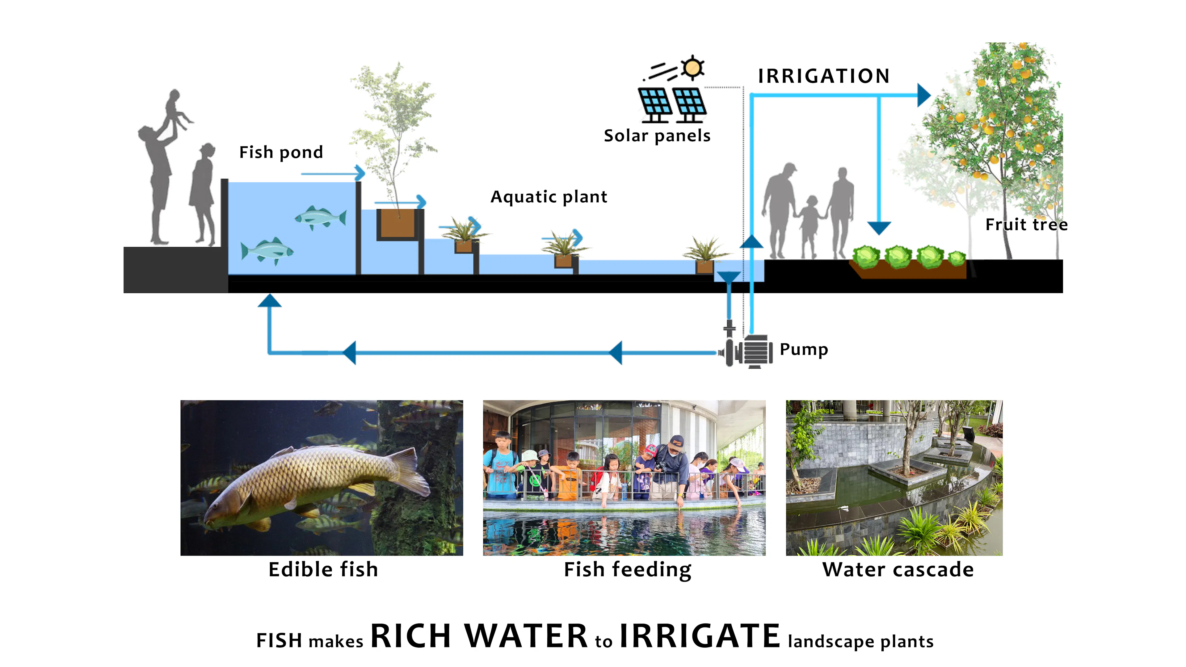 Hikari-4Ps Edutainment Hub — 10
