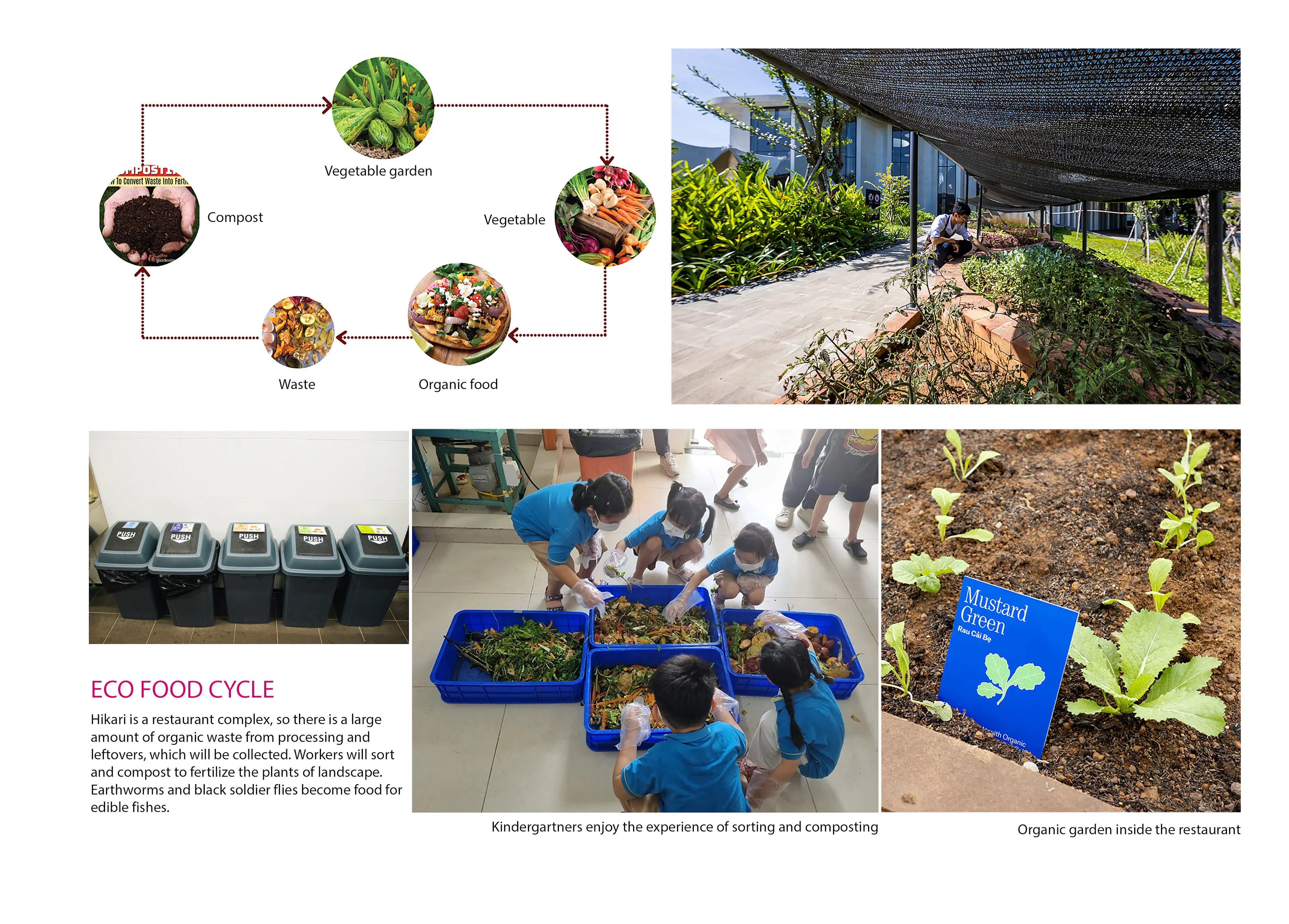 Hikari-4Ps Edutainment Hub — 11