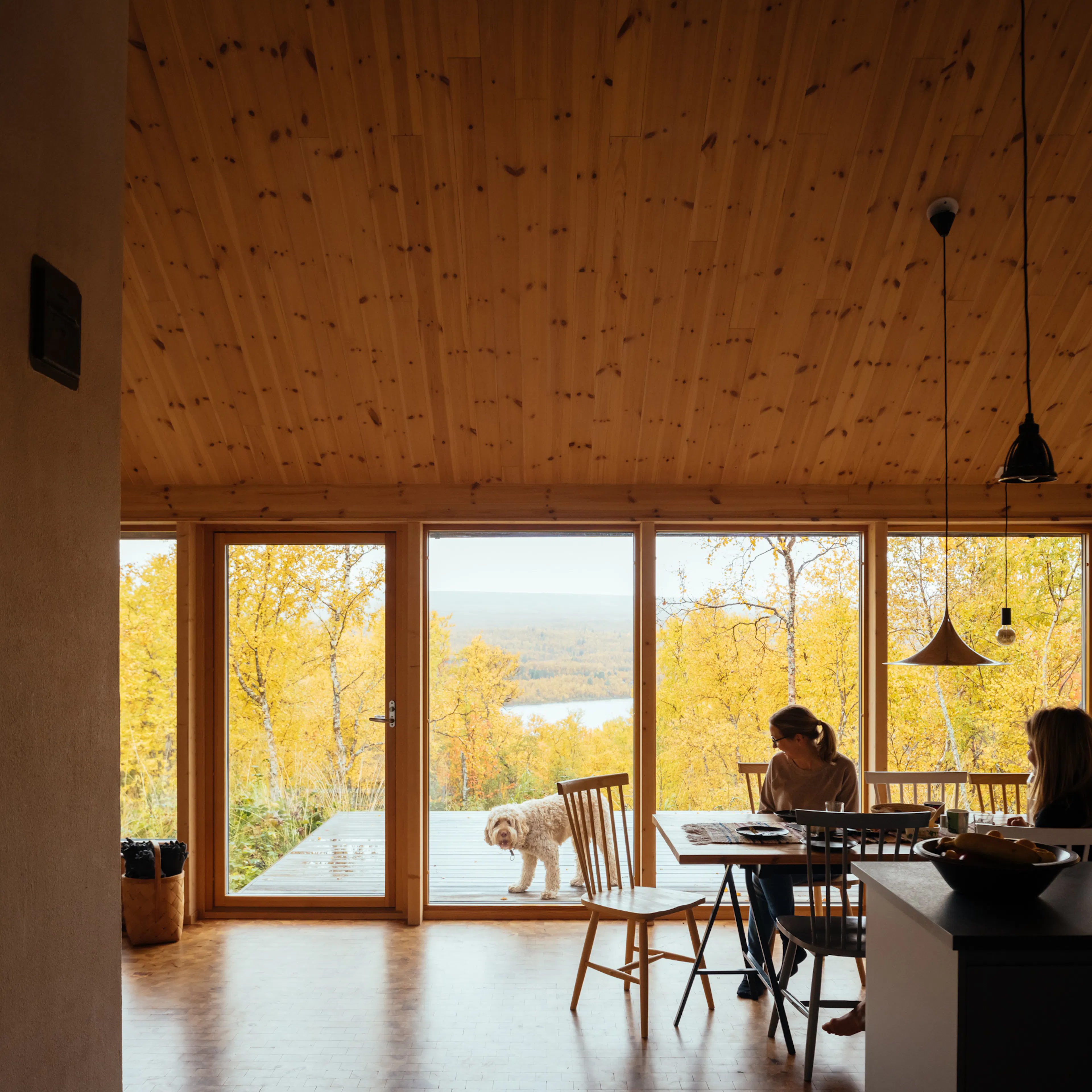 The Hat House Photos and Film — 6