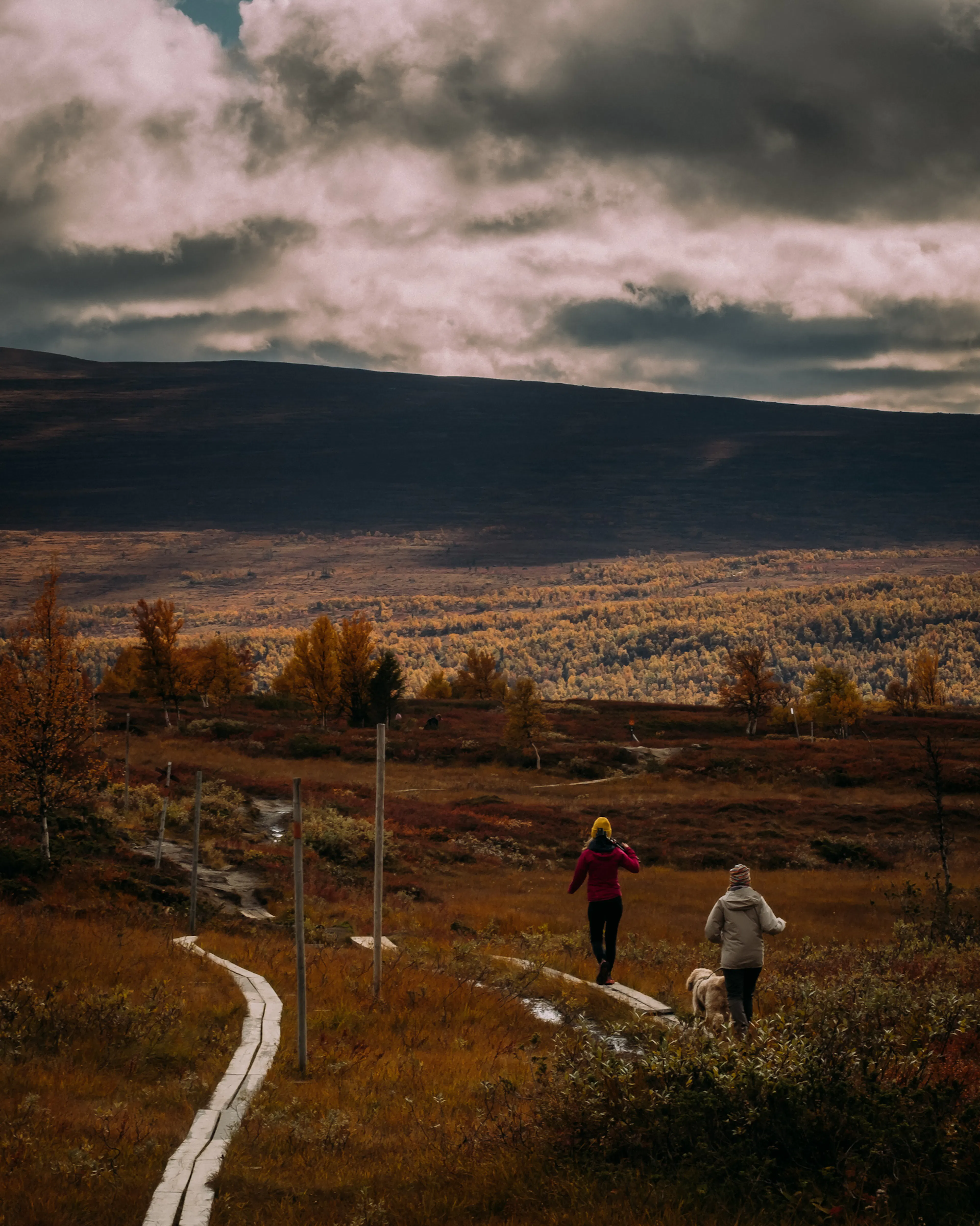 The Hat House Photos and Film — 11