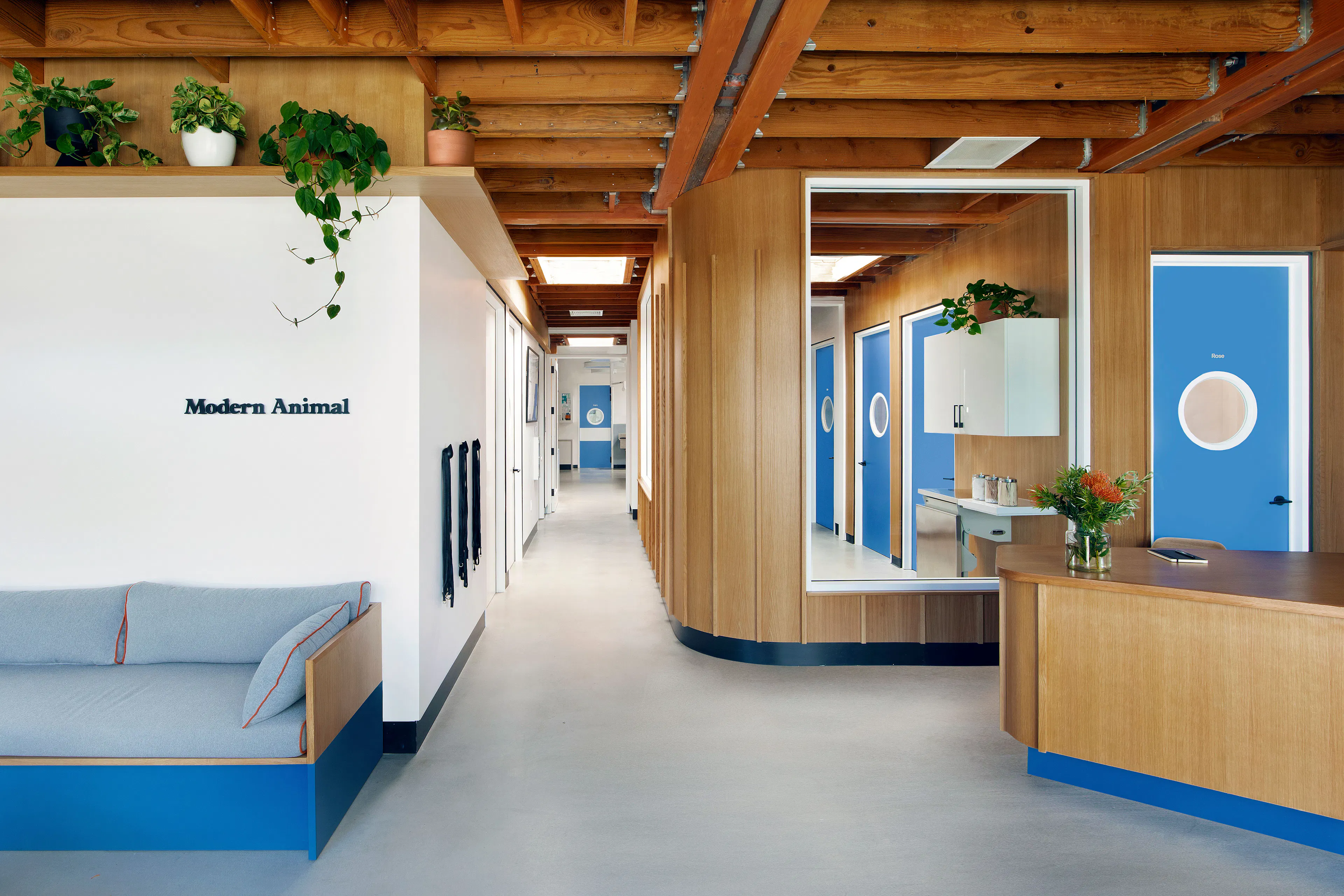 Design, Bitches — 3