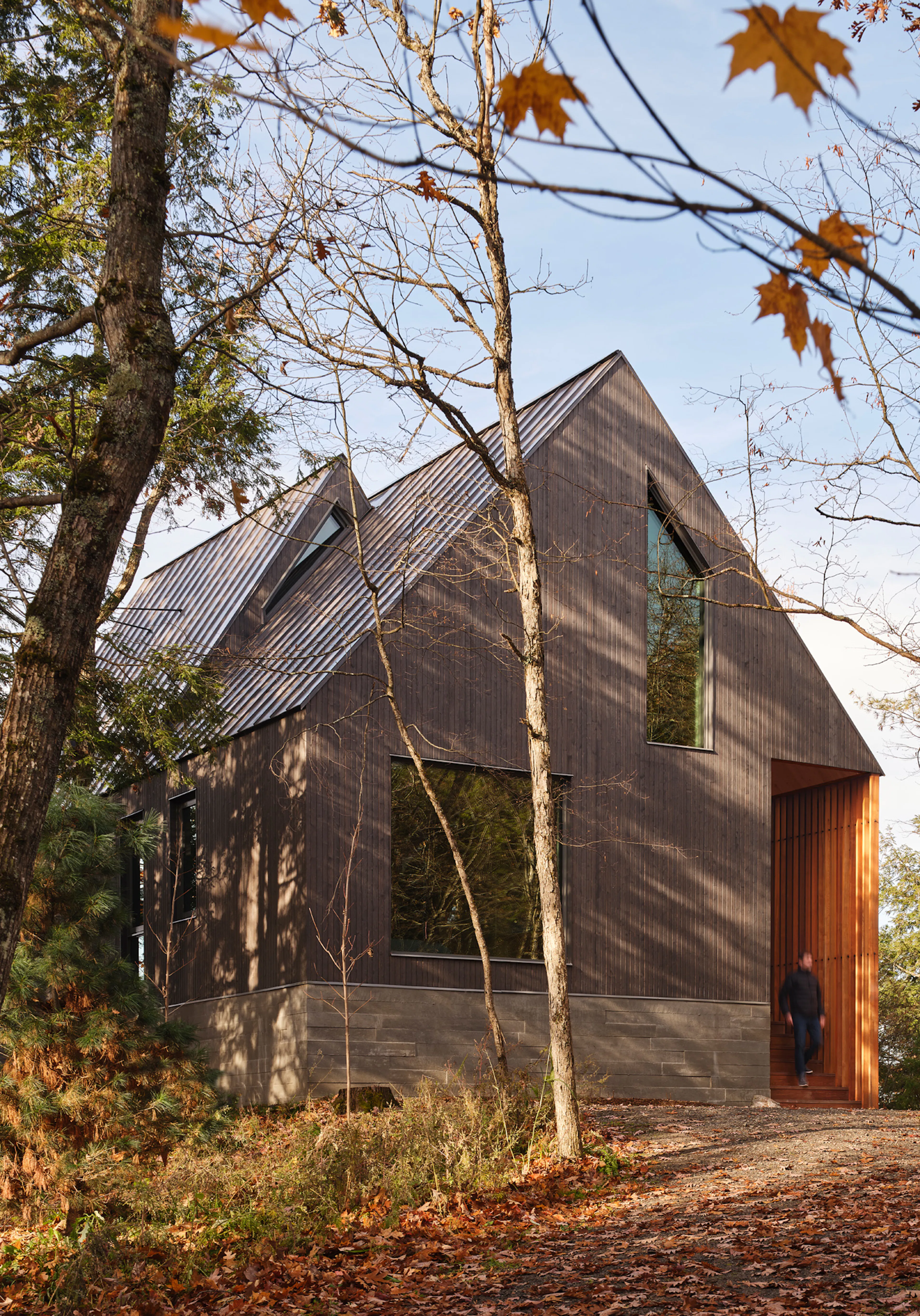 Bunkie on the Hill — 4