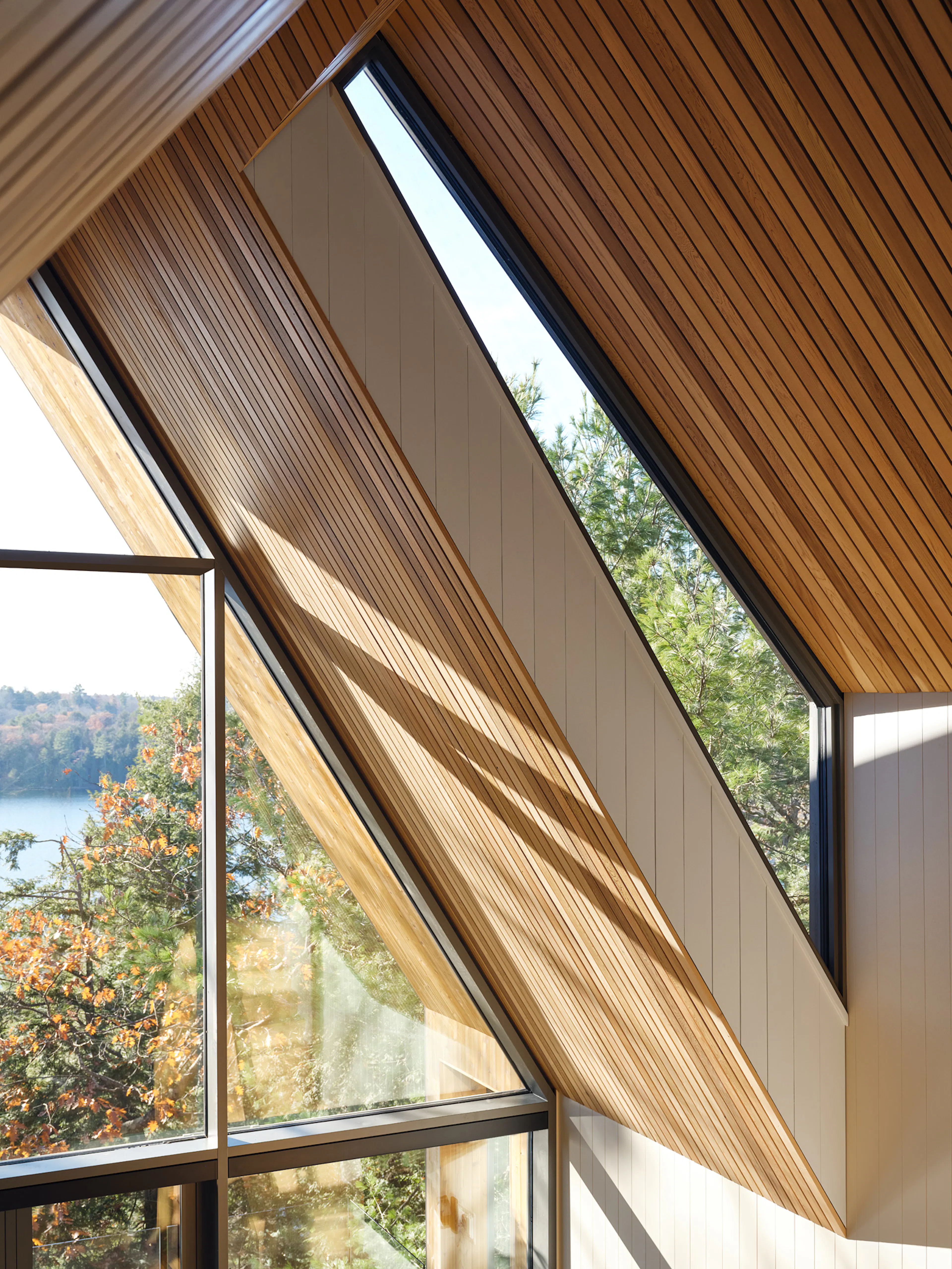 Bunkie on the Hill — 12