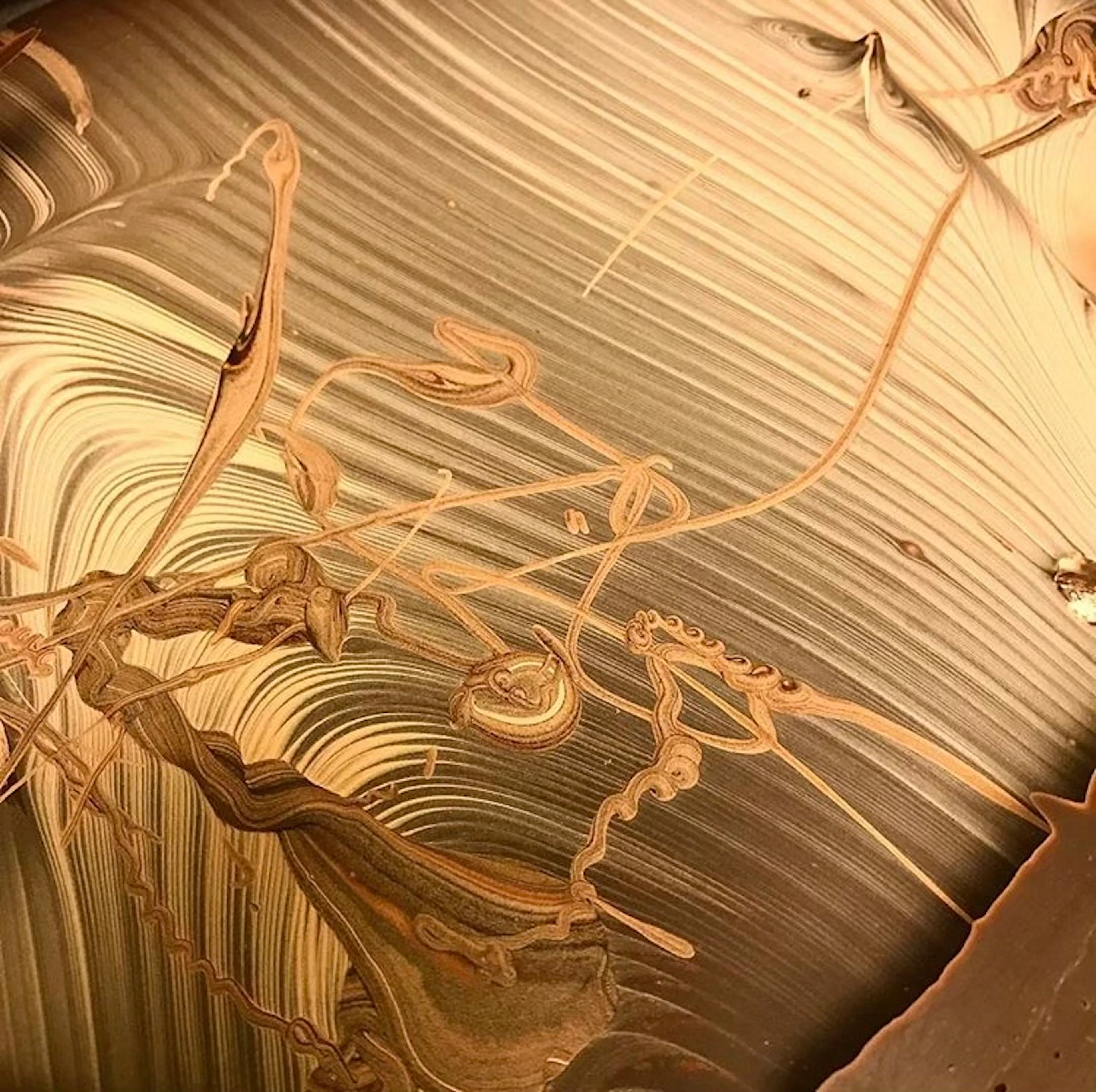 Blue Table Chocolates - Larkinville — 13