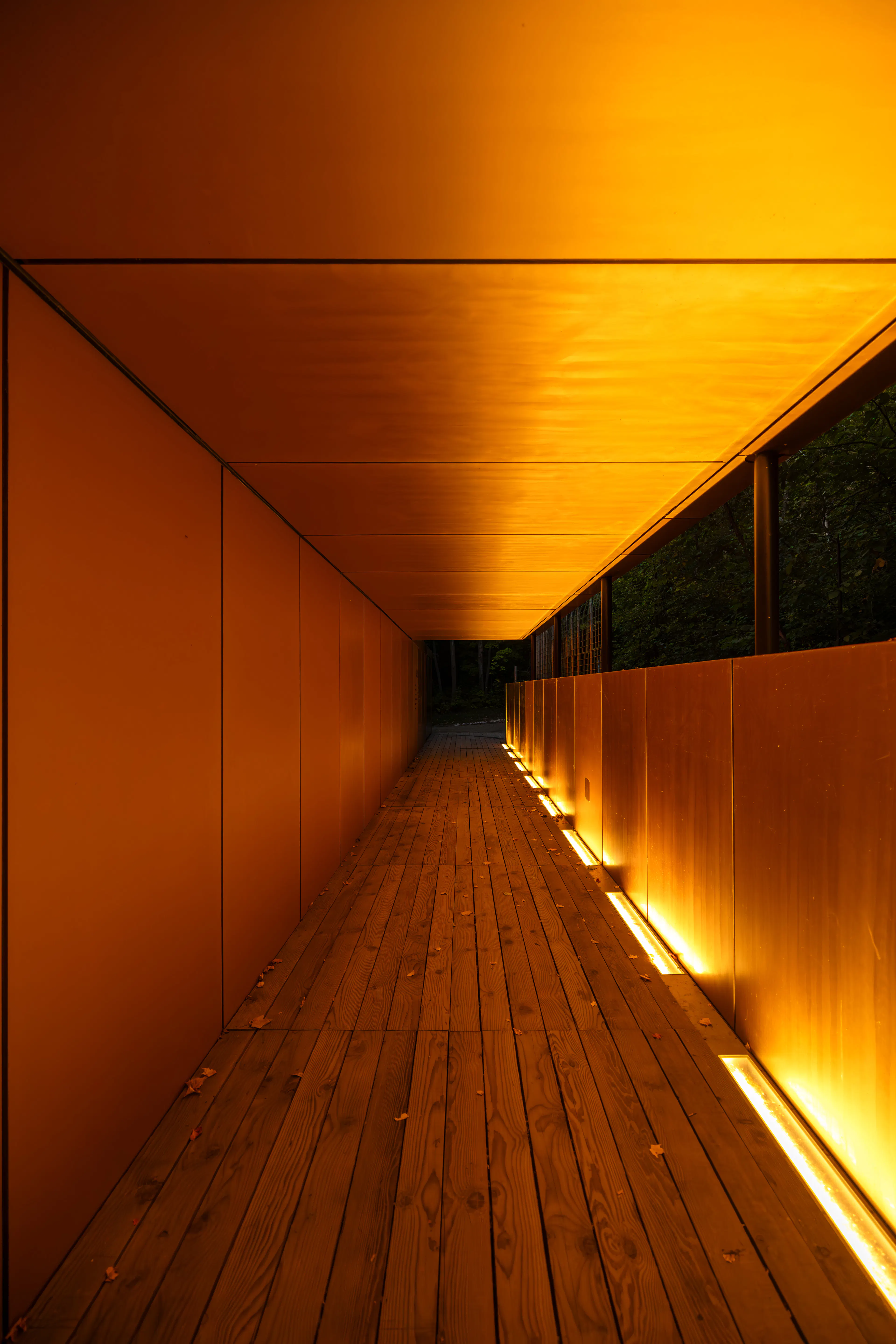 Site Archéologique Cartier-Roberval * Cartier-Roberval Archaeological Site / PROLOGUE — 28