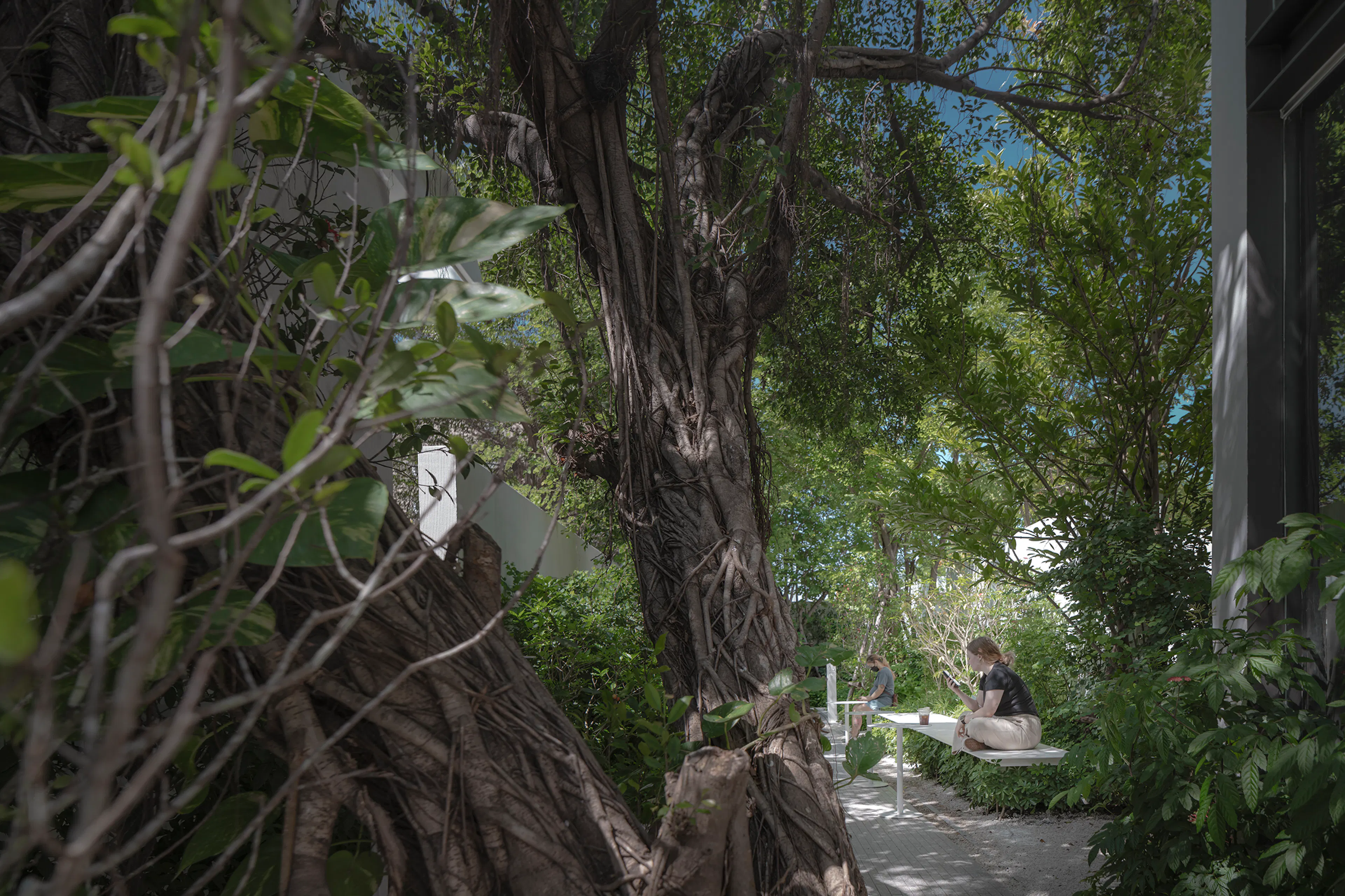 NANA Coffee Roasters Bangna — 2