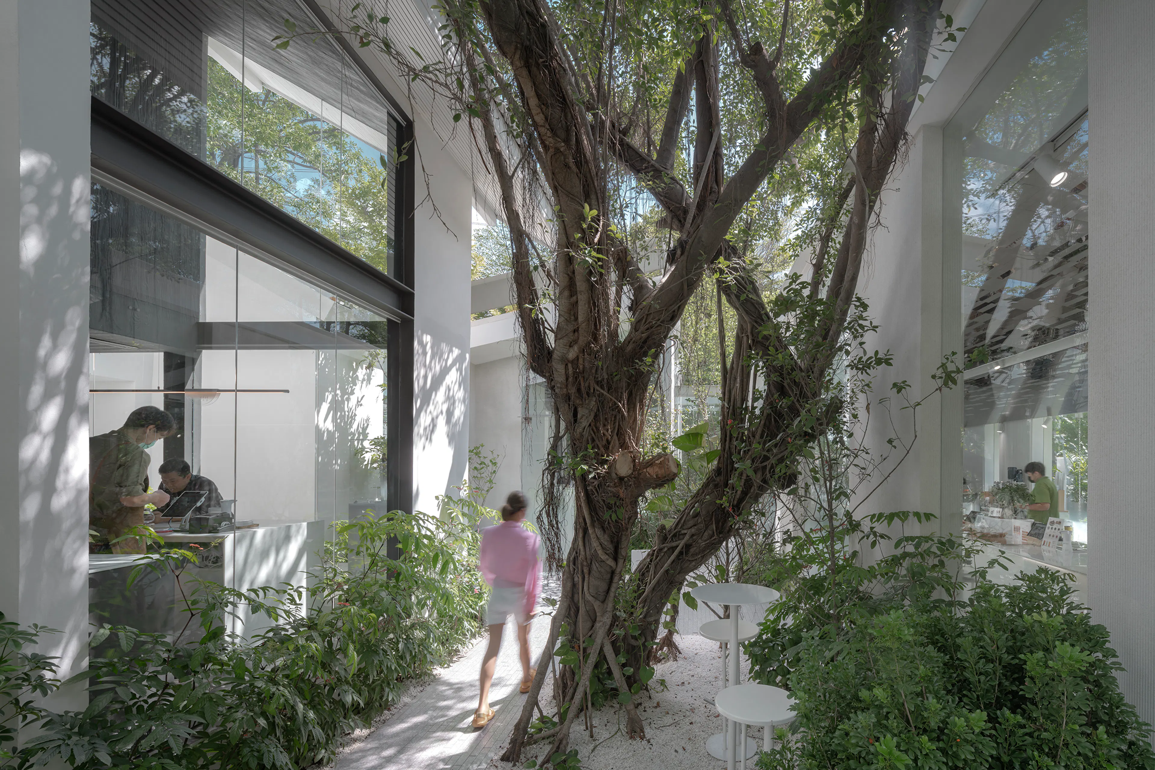 NANA Coffee Roasters Bangna