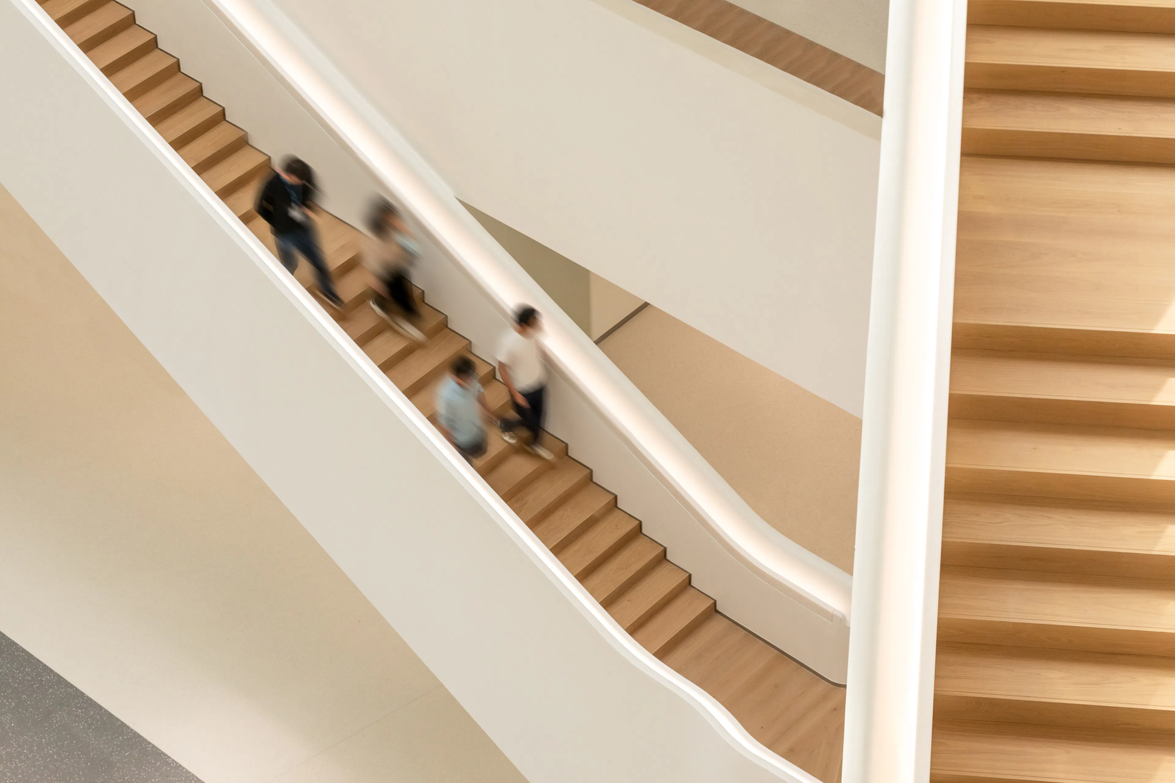 YOFC Headquarters — 19