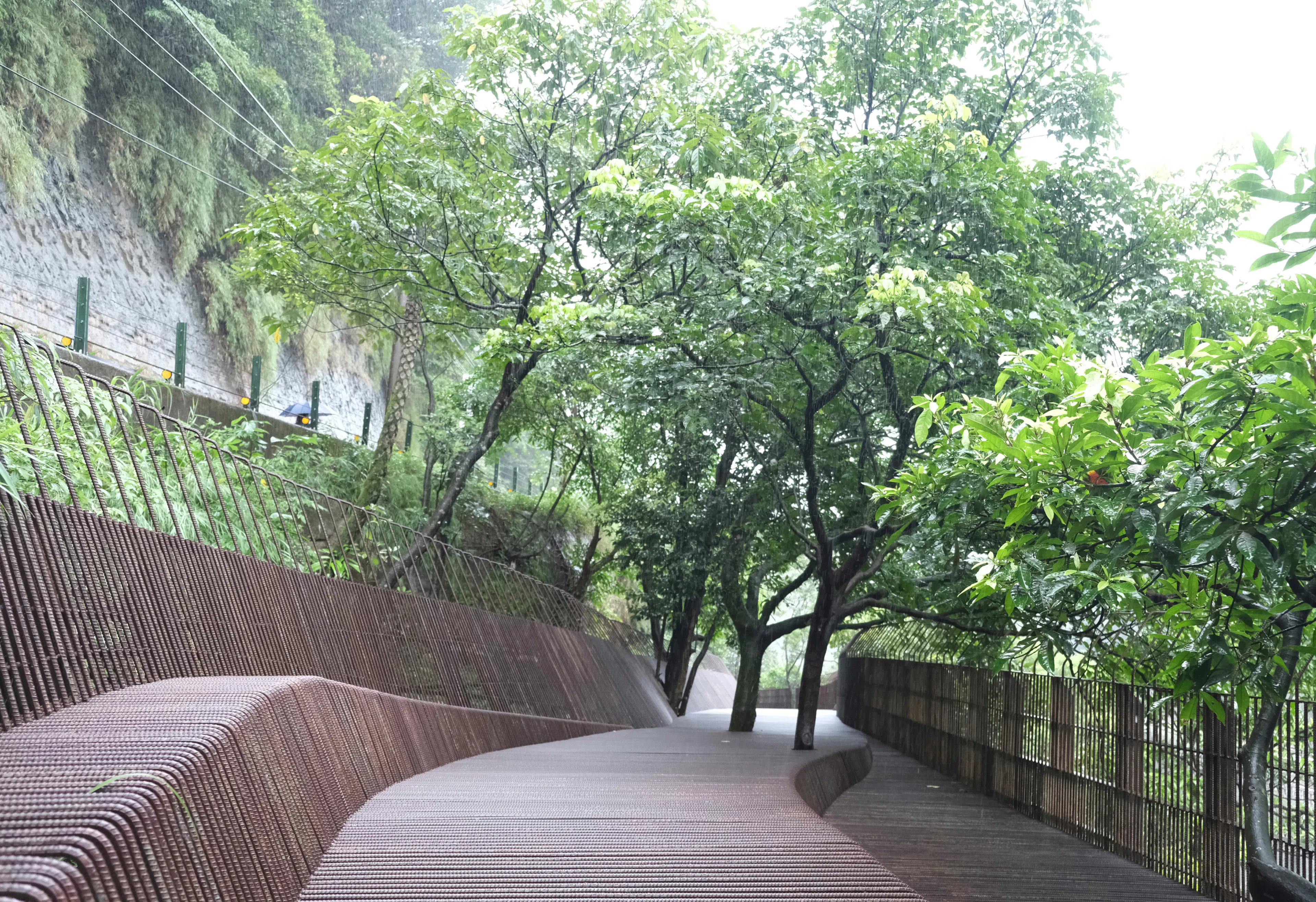 The Dark Line — 13