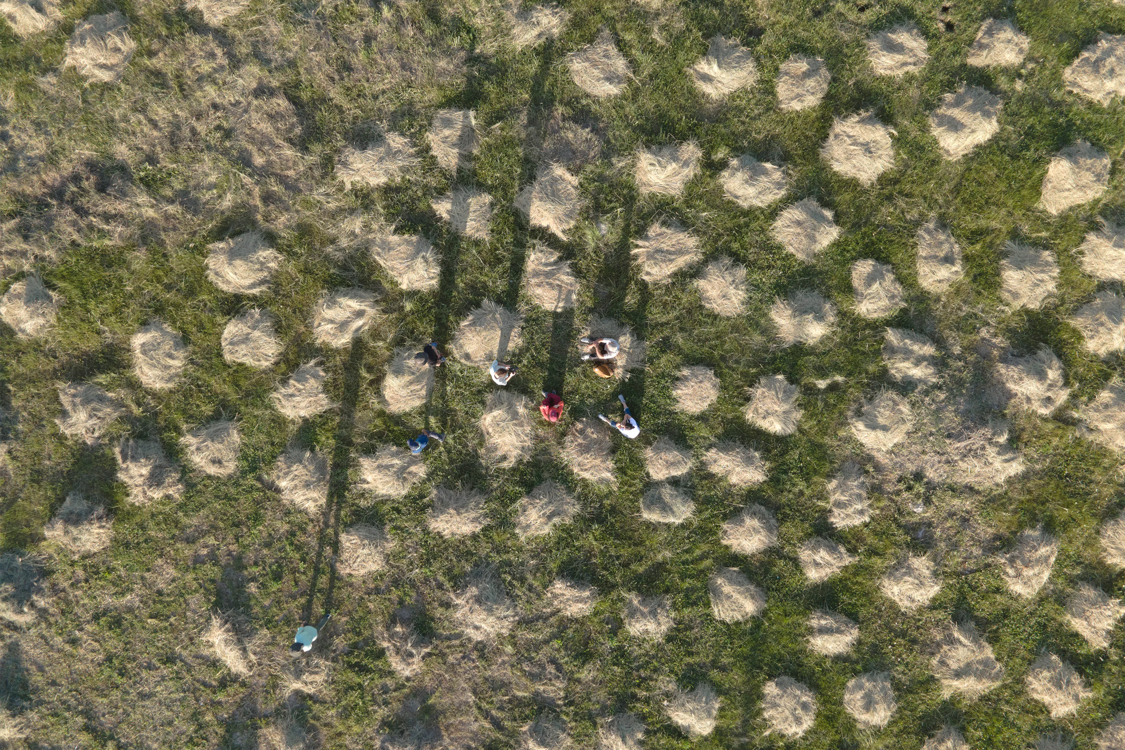 Grassland Pavilion - Poonehzar — 1