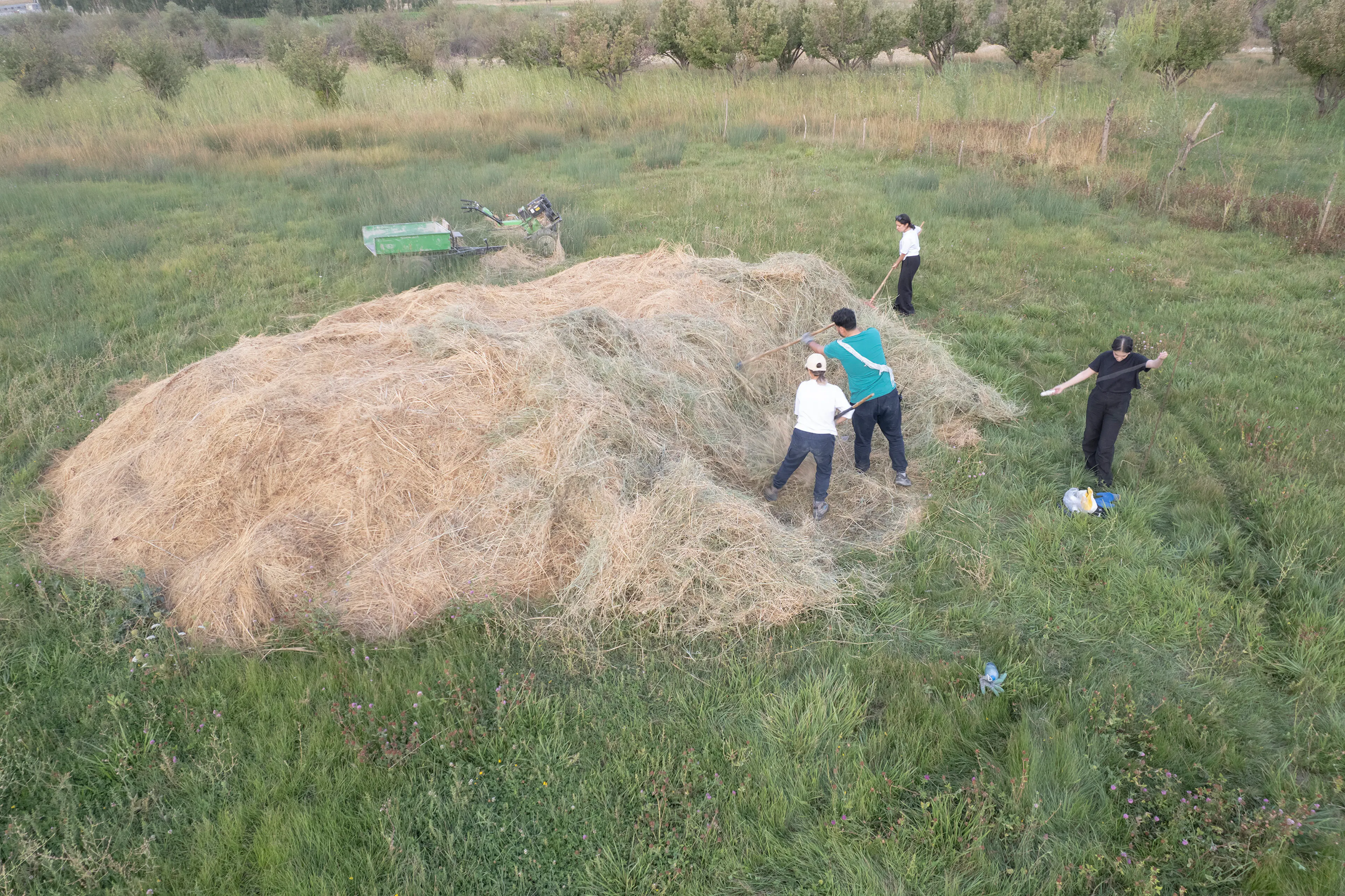 Grassland Pavilion - Poonehzar — 3