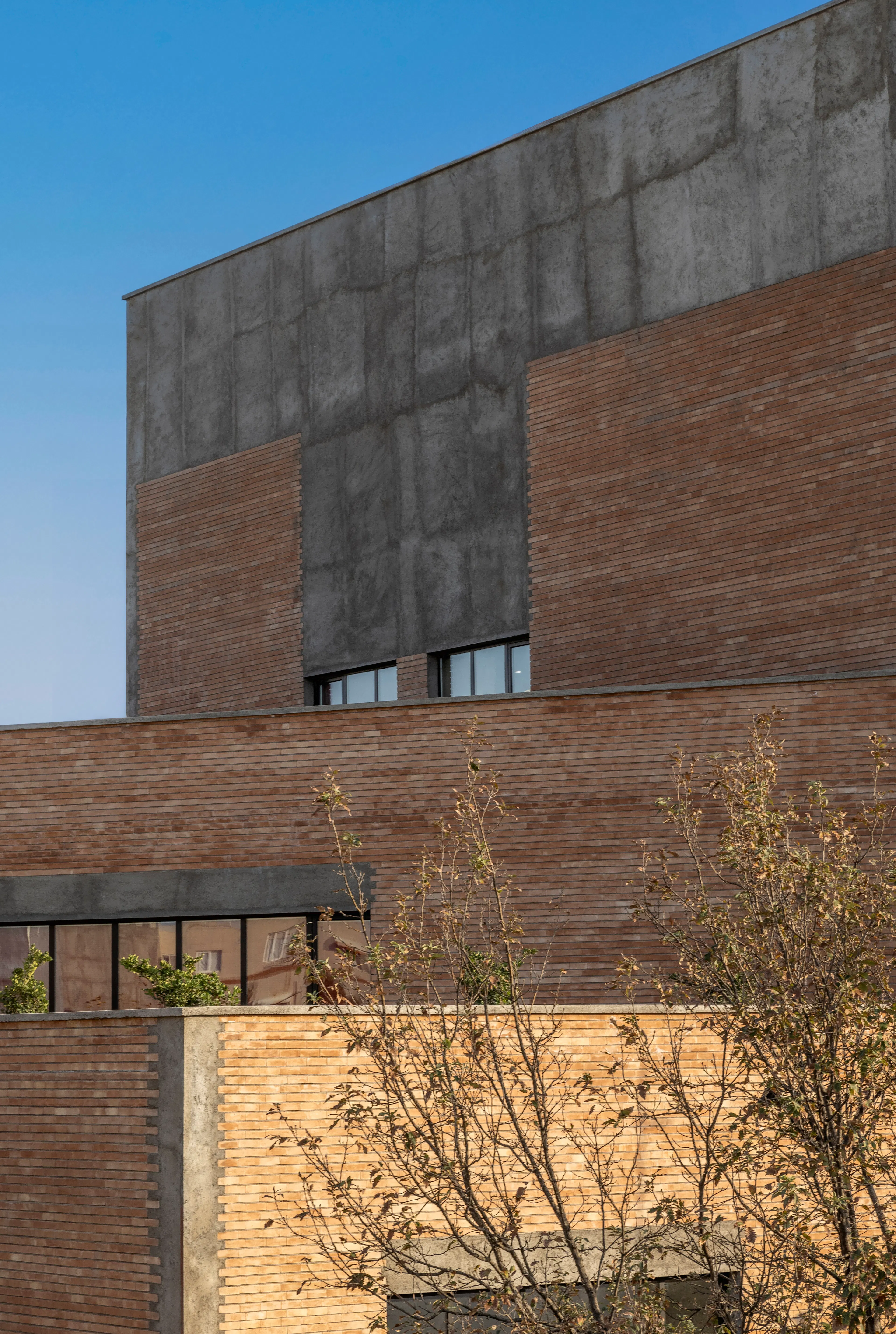 Dr.Beski Science Foundation — 26